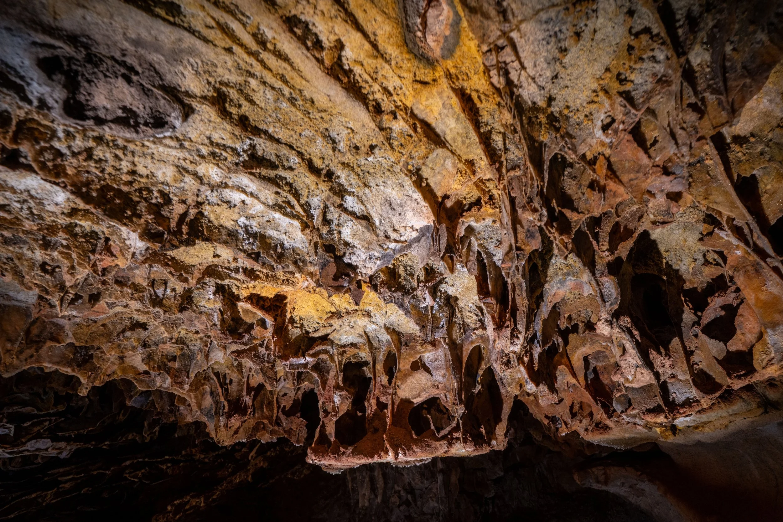 Boxwork Garden of Eden Tour Wind Cave National Park