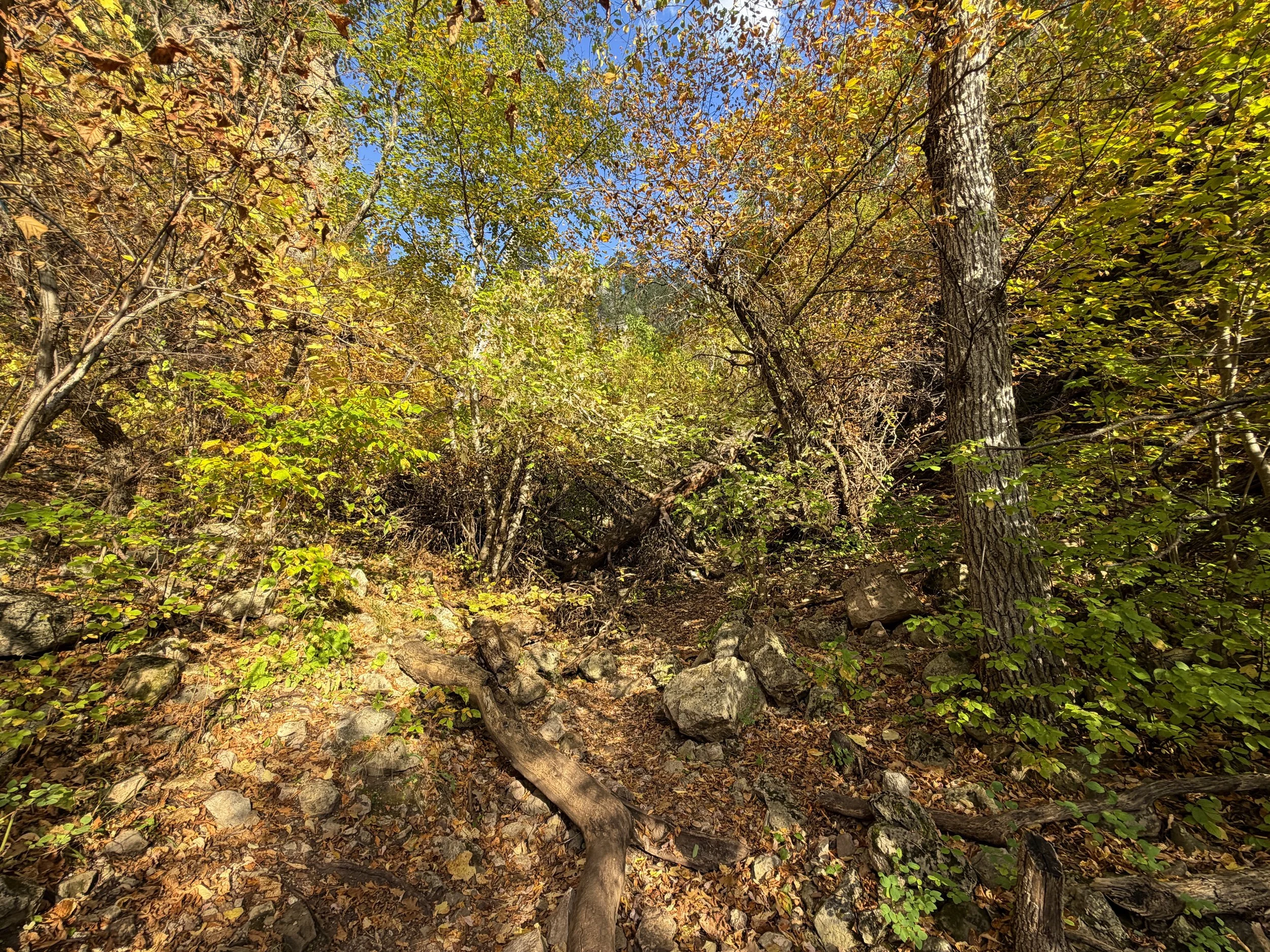 Community Caves Hike Spearfish Canyon Black Hills South Dakota