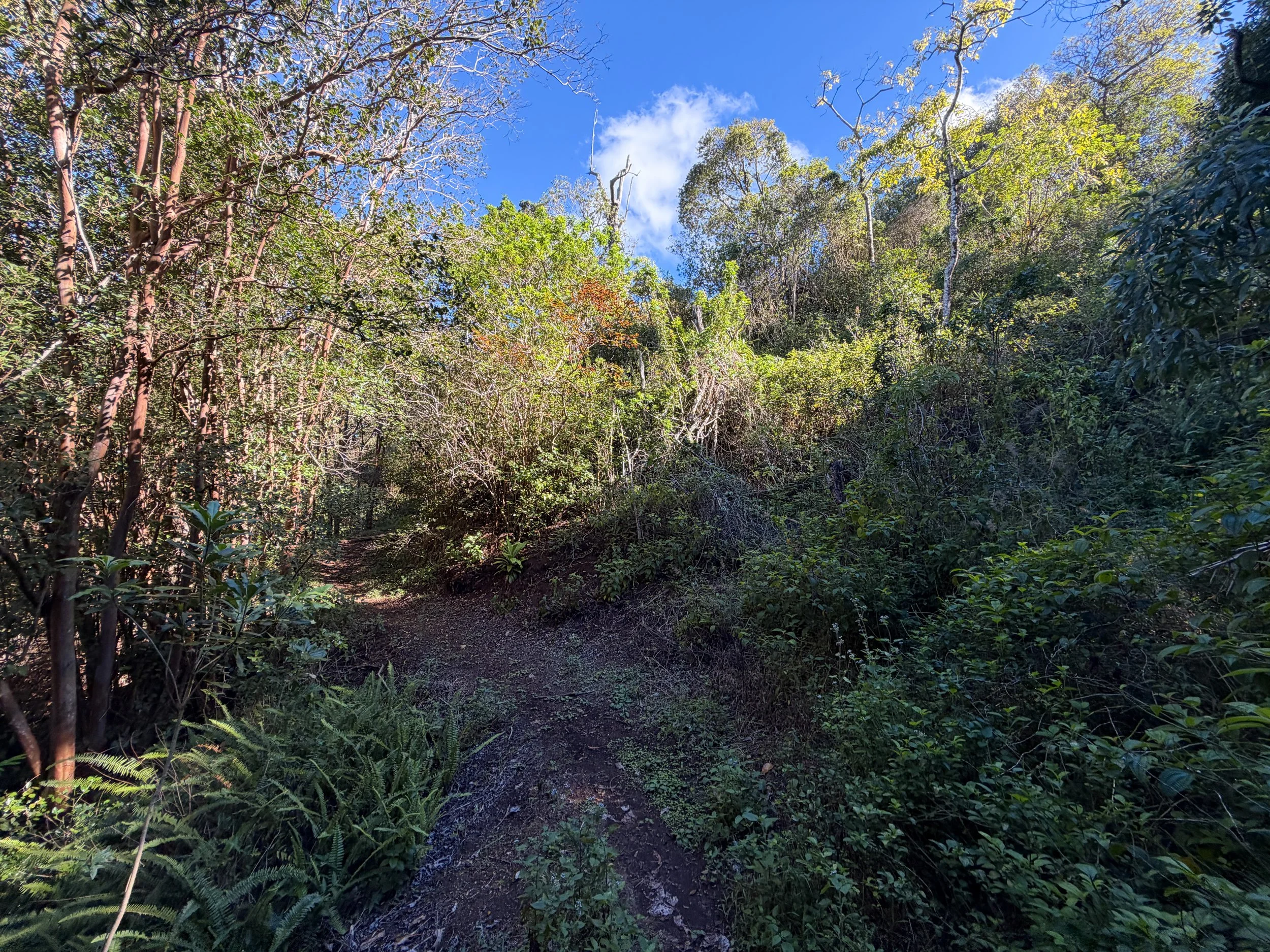 Mokuleia Hike Oahu Hawaii