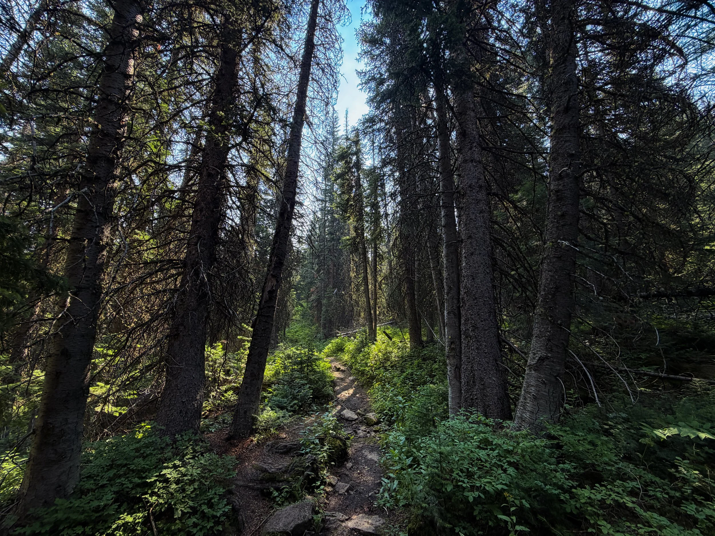 East Rosebud Trail The Beaten Path Beartooth Mountains Montana