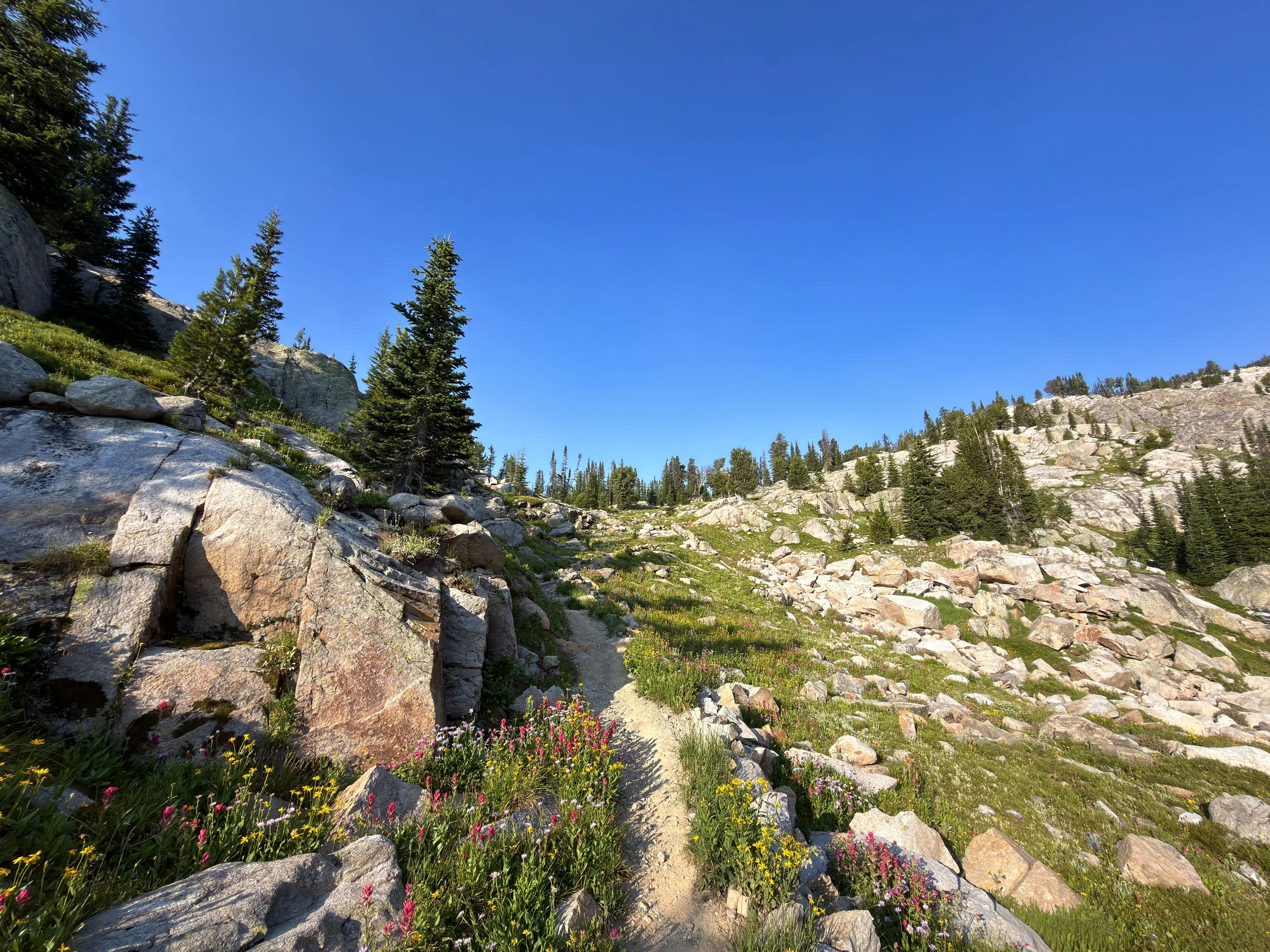 Beaten Path Trail Beartooth Mountains Montana