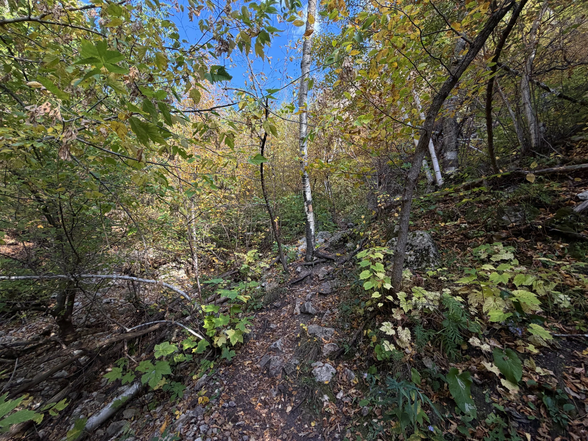 Community Caves Hike Spearfish Canyon Black Hills South Dakota