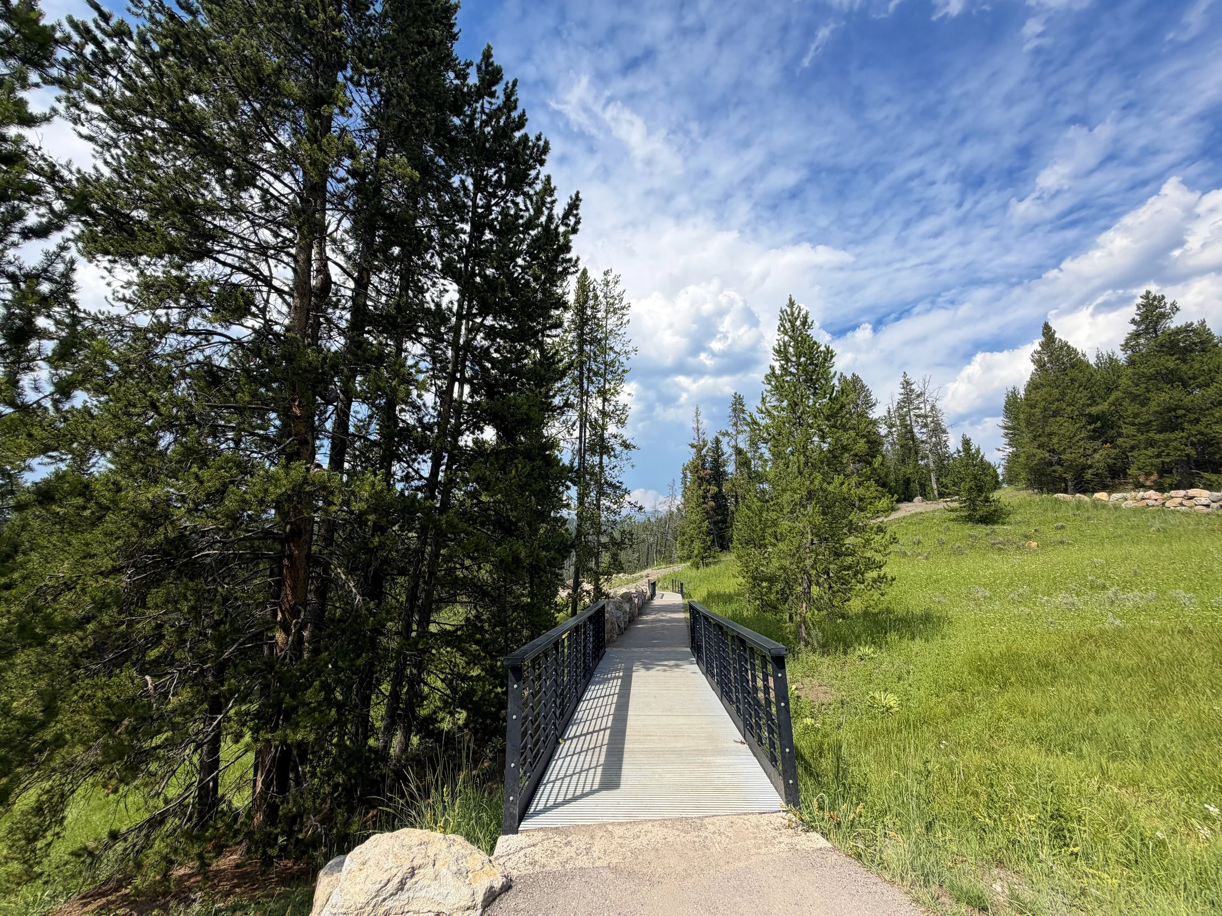 Discovery Overlook Trail Yellowstone National Park Wyoming