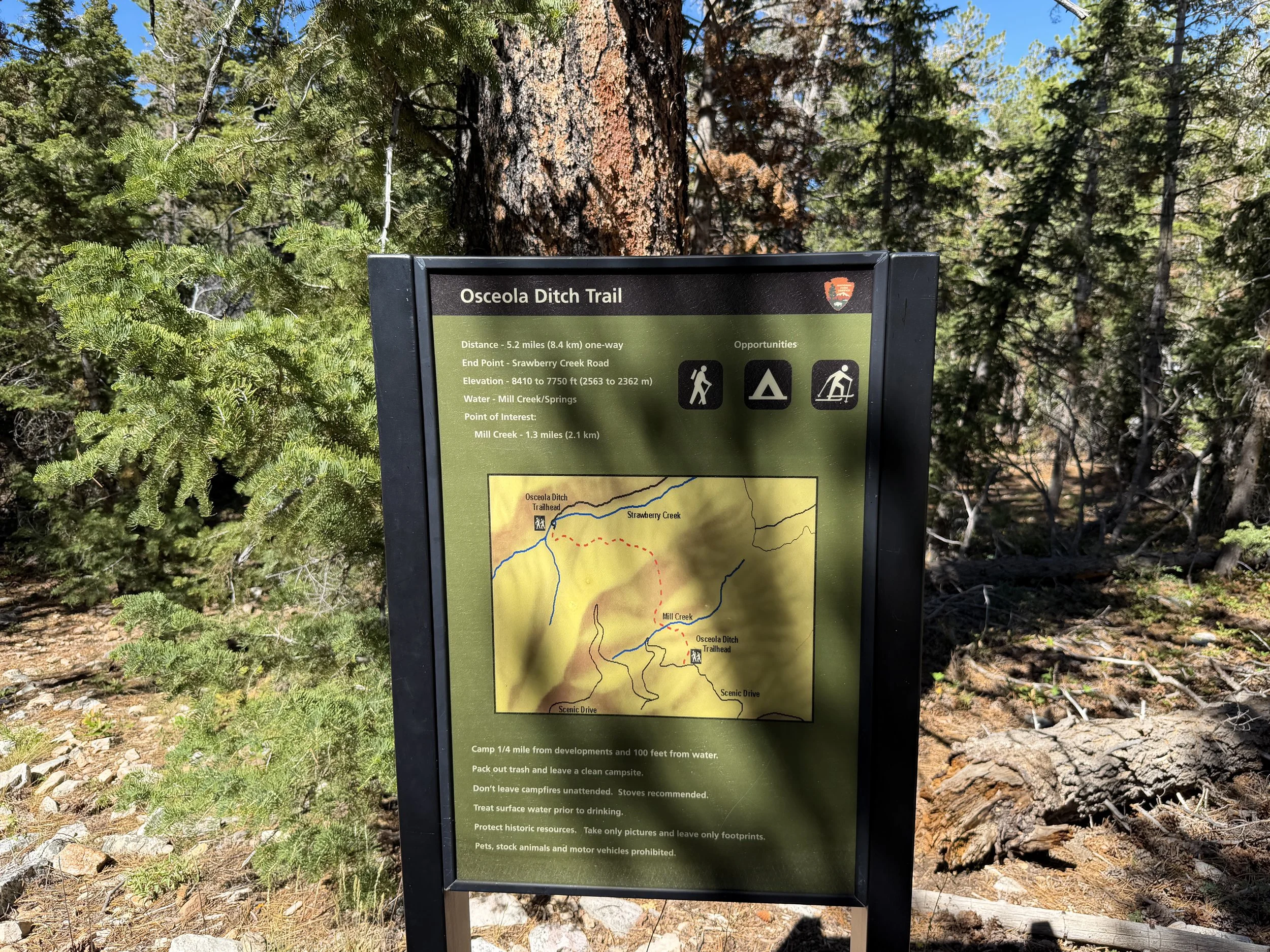 Osceola Ditch Trail Great Basin National Park Nevada