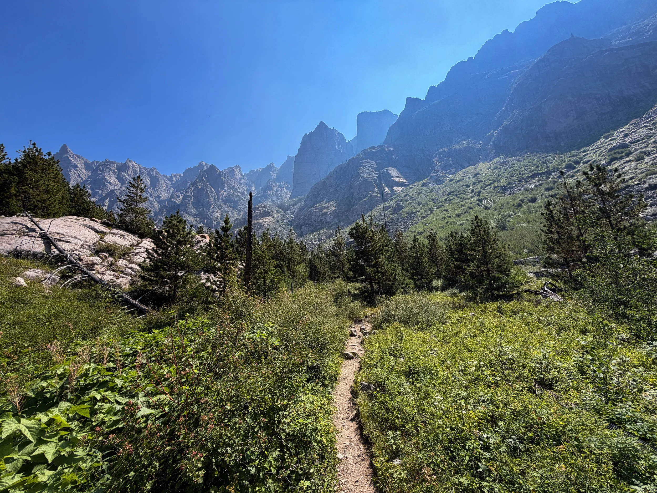 Beaten Path Hike Beartooth Mountains Montana