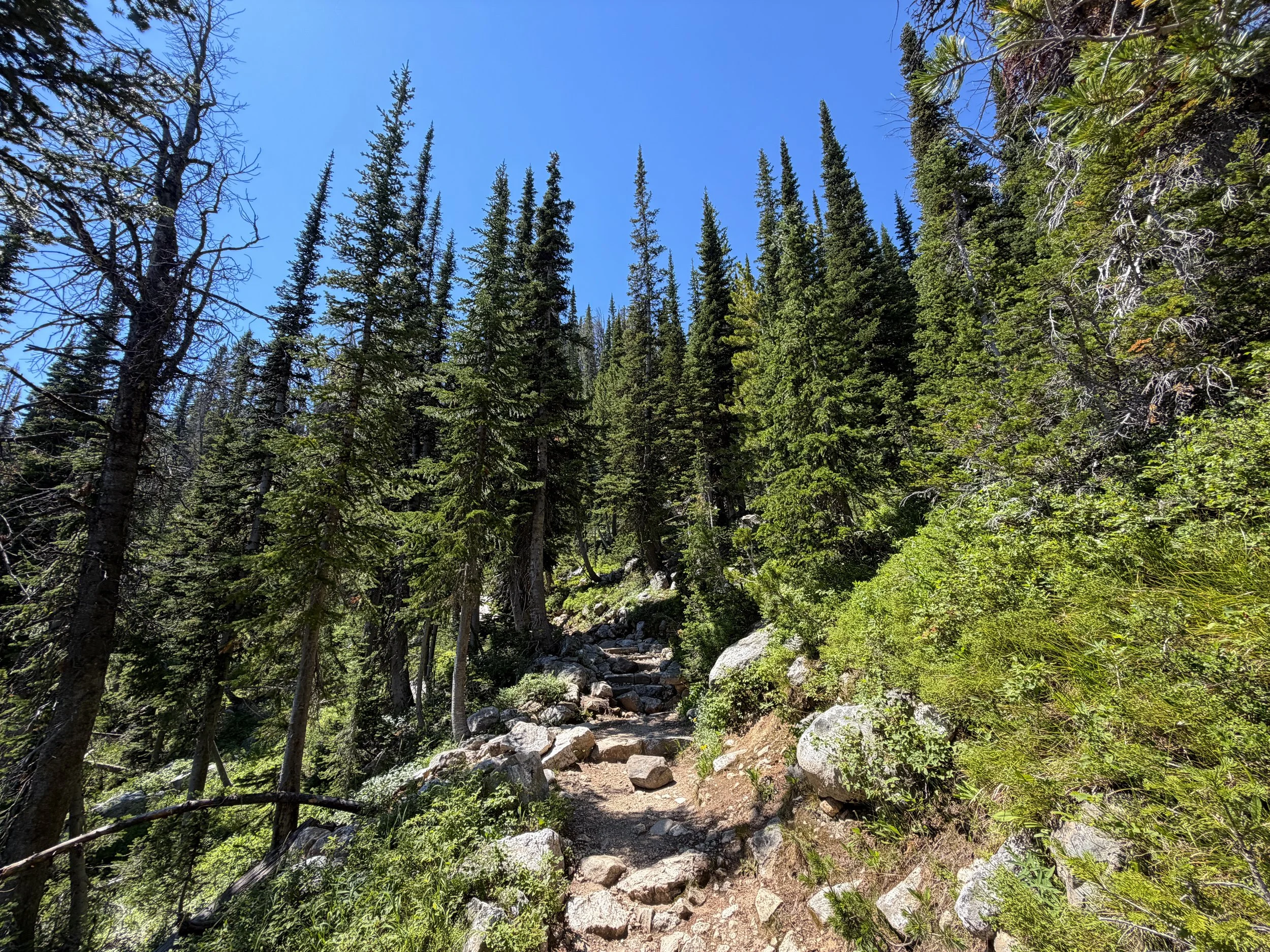 Surprise and Amphitheater Lakes Trail Grand Teton National Park Wyoming