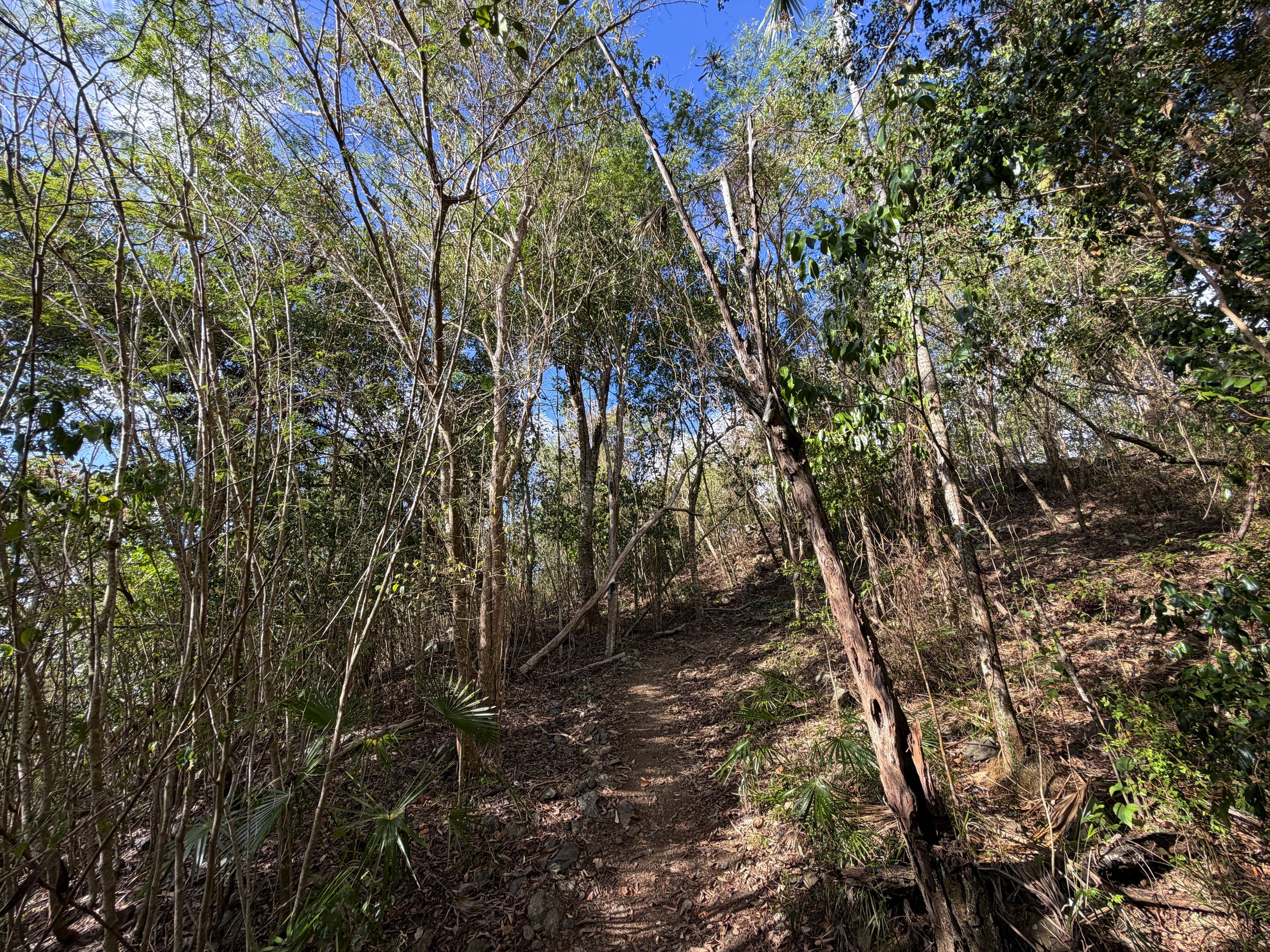 America Hill Trail Virgin Islands National Park