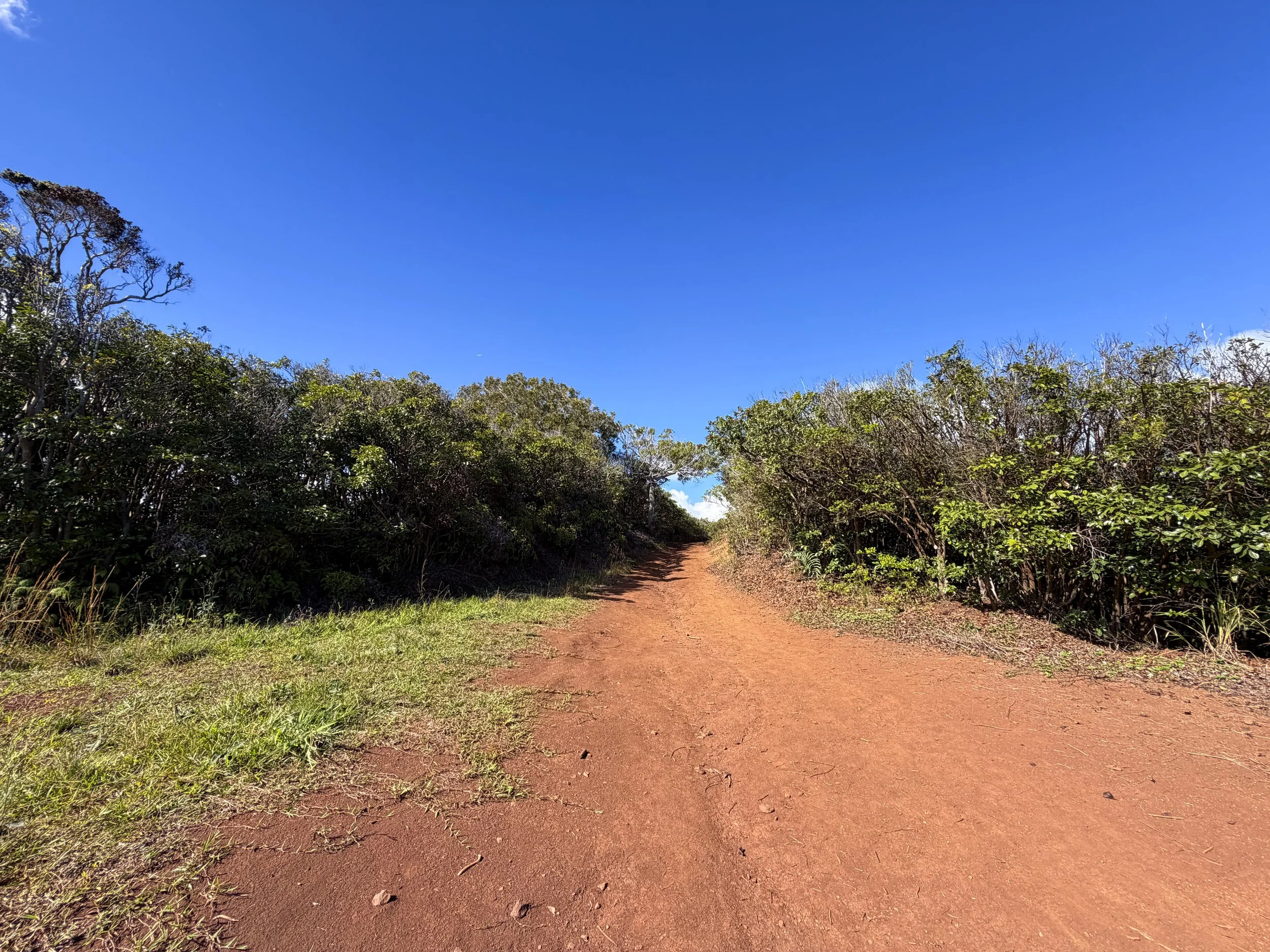 Wiliwilinui Ridge Hike Oahu Hawaii