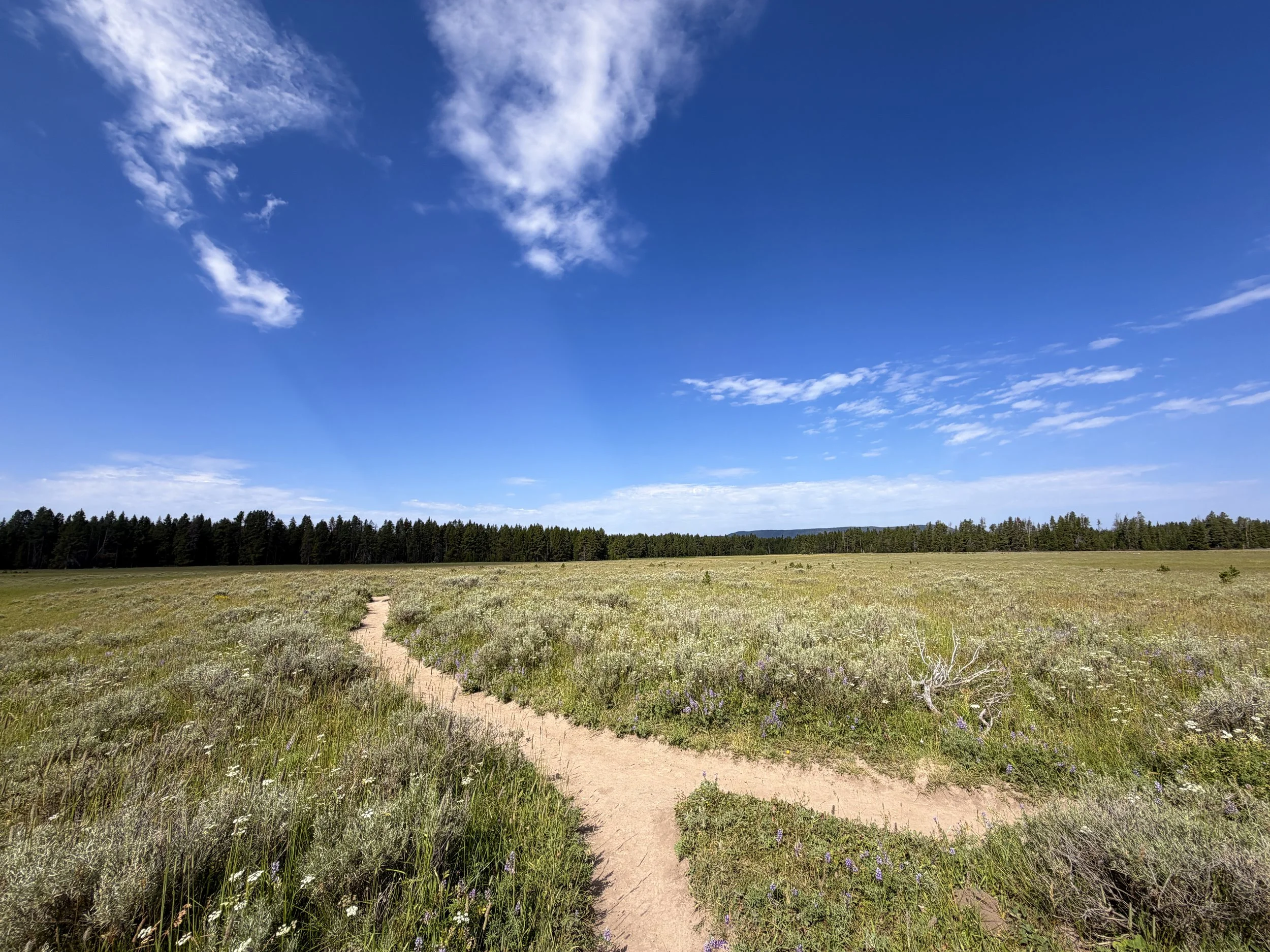Storm Point Trail Yellowstone National Park Wyoming