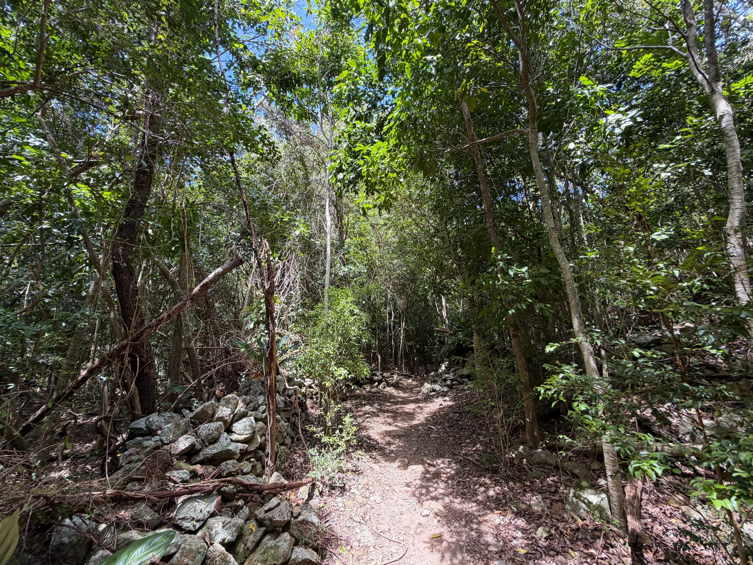Petroglyphs Trail Virgin Islands National Park