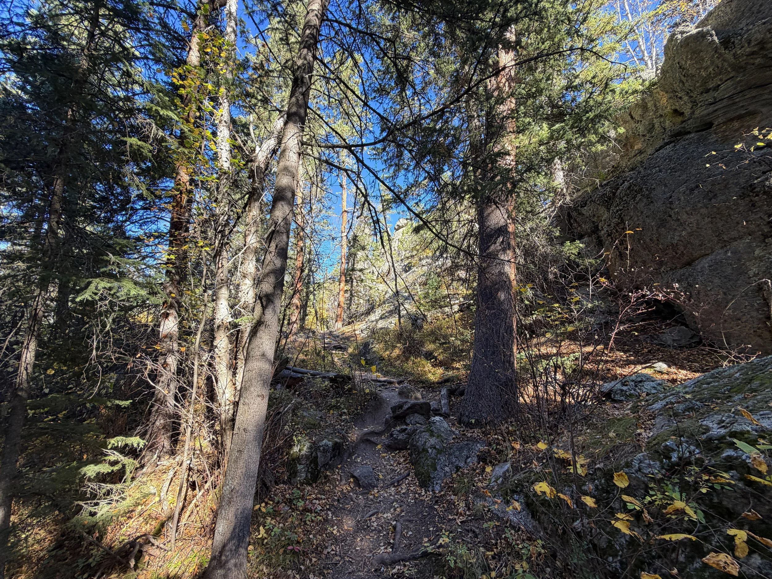 Sunday Gulch Loop Trail Custer State Park Black Hills South Dakota