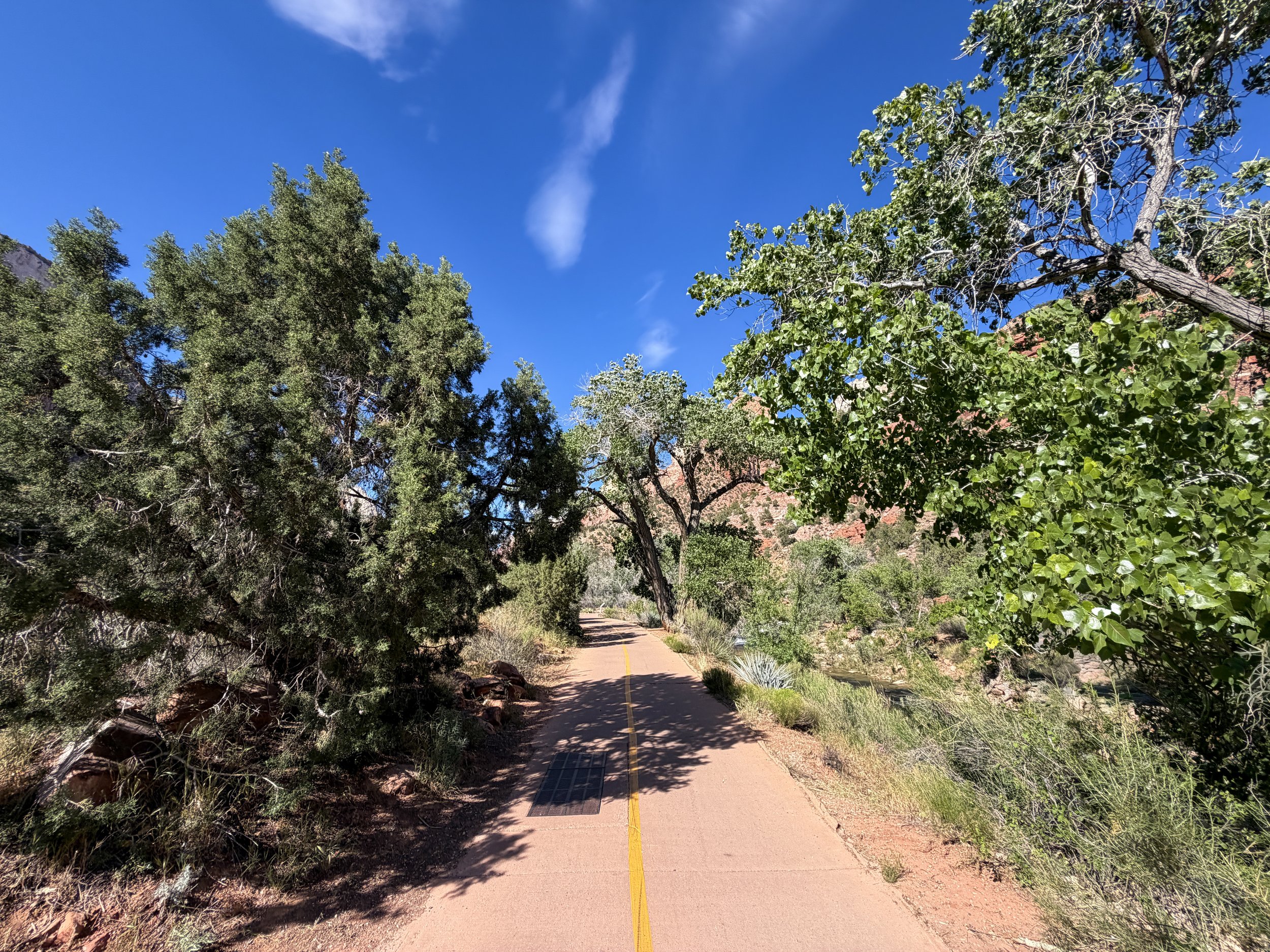 Parus Bike Trail Zion National Park Utah