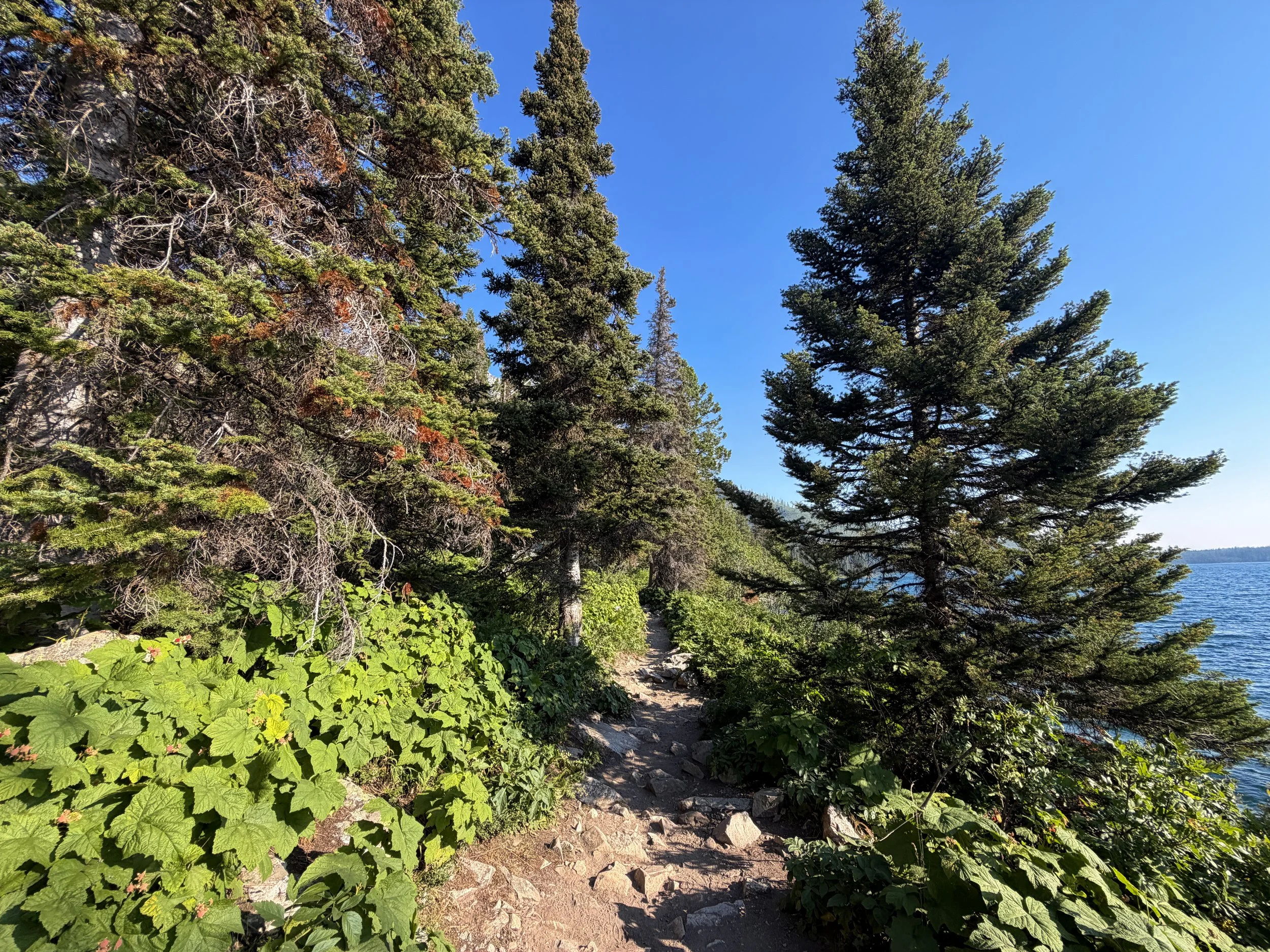 Hidden Falls Trail Grand Teton National Park Wyoming