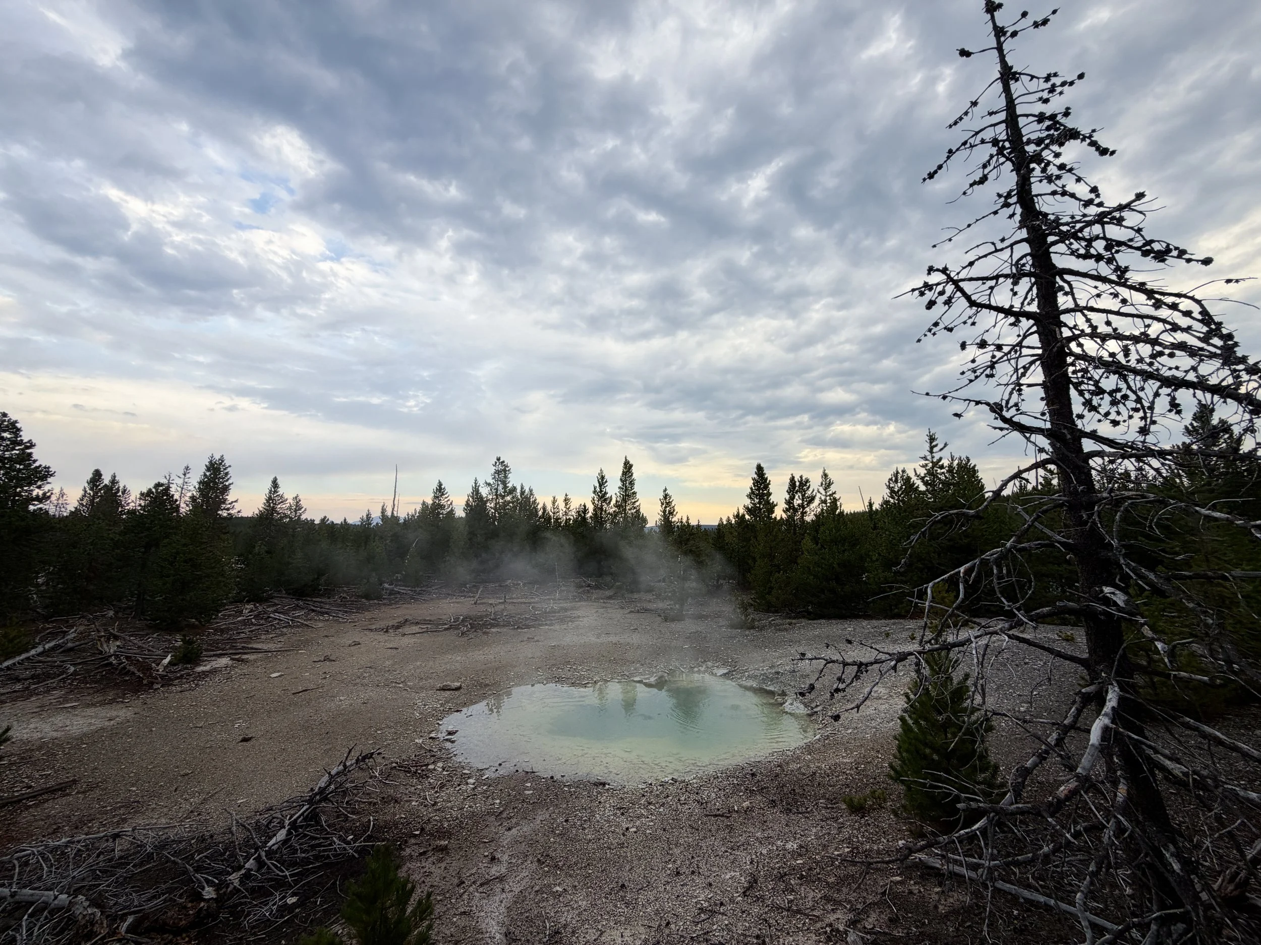 Mystic Spring Norris Geyser Basin Trail Yellowstone National Park Wyoming