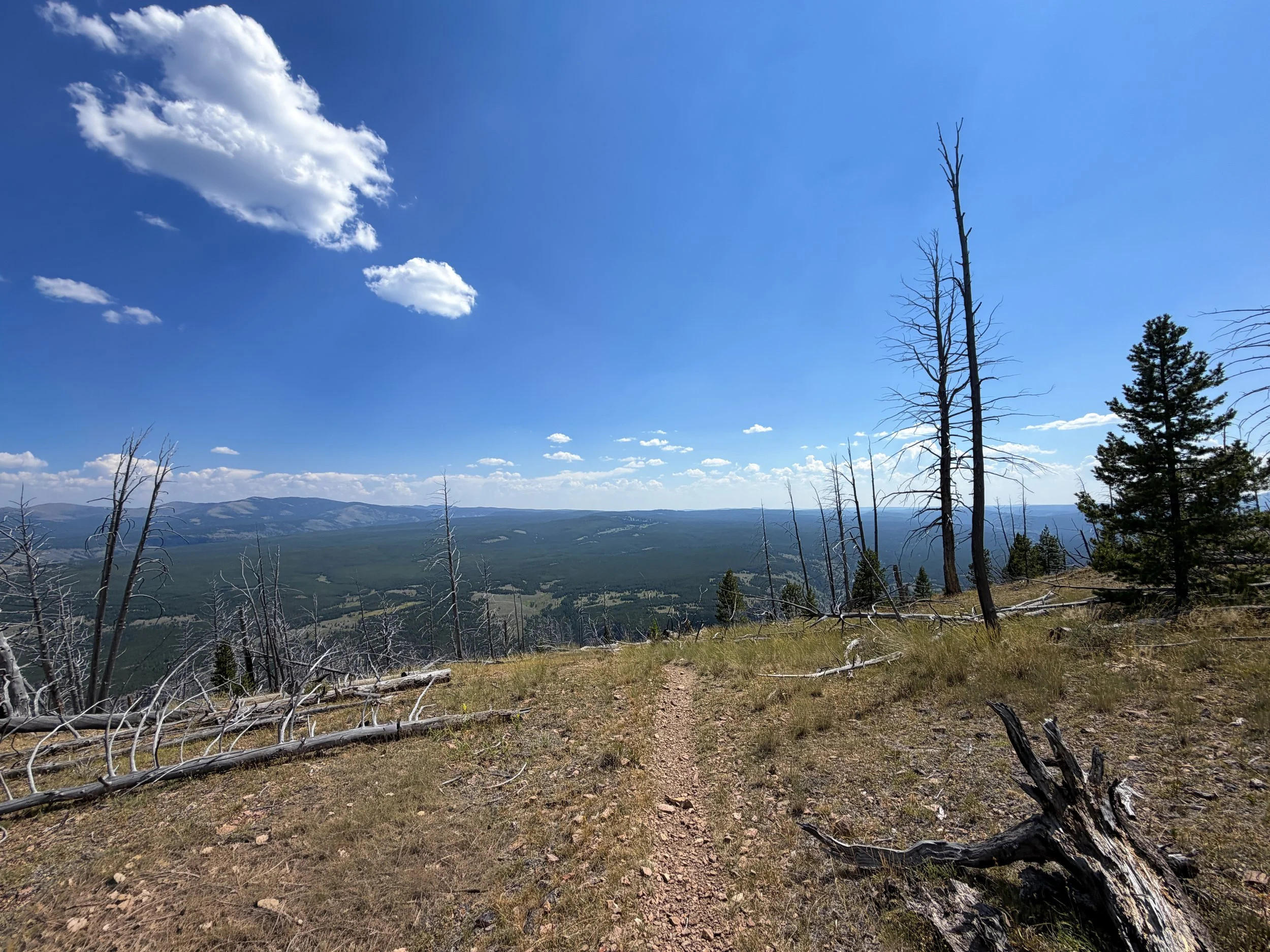 Bunsen Peak Trail to Osprey Falls Yellowstone National Park Wyoming