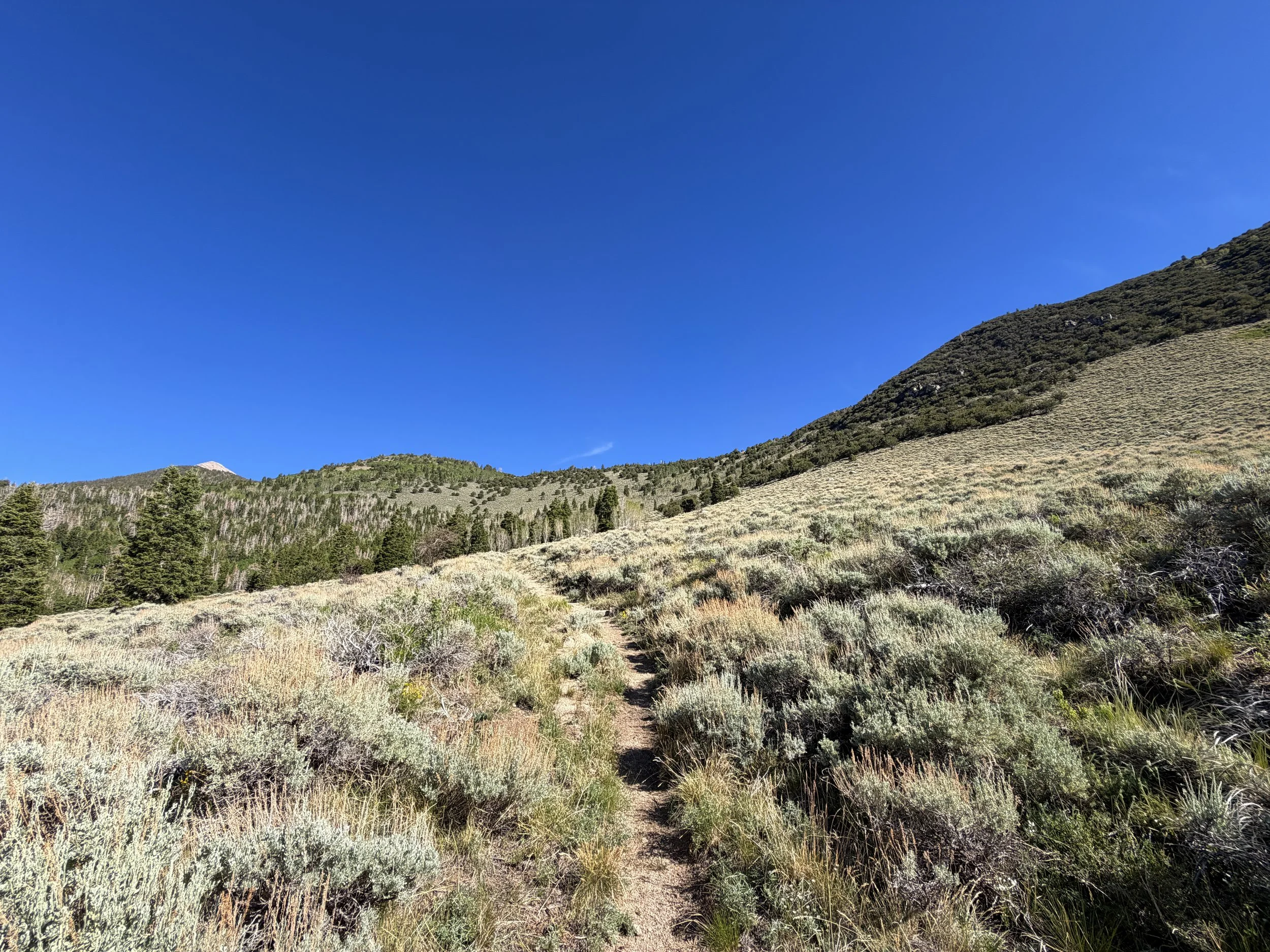 Johnson Lake Hike Great Basin National Park Nevada