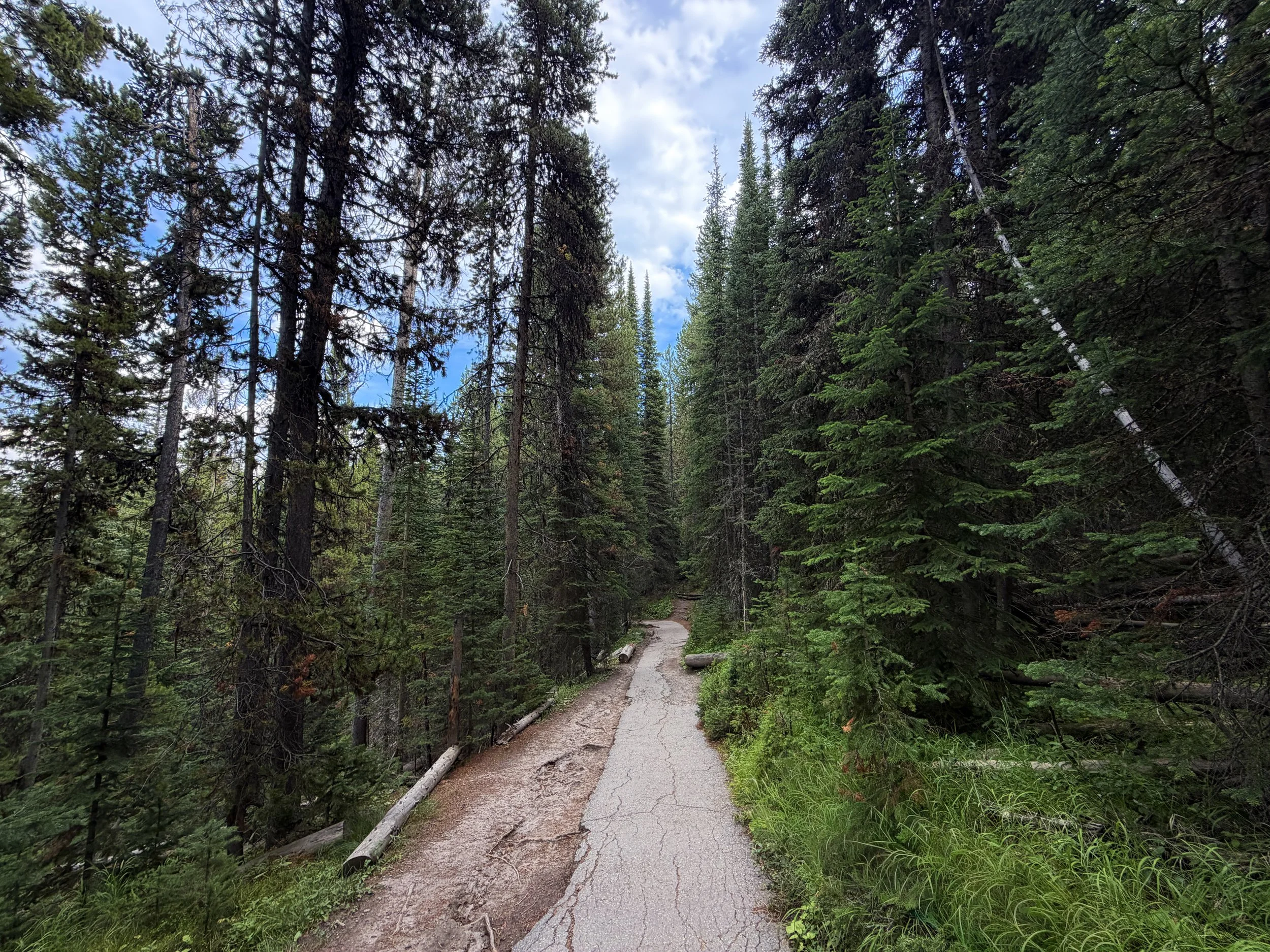 South Rim Trail Yellowstone National Park Wyoming