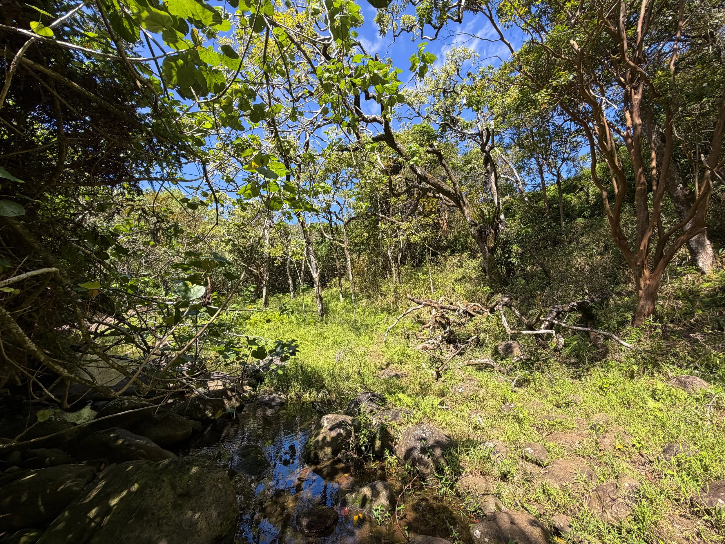 Kulanaahane Trail to Moanalua Saddle Oahu Hawaii
