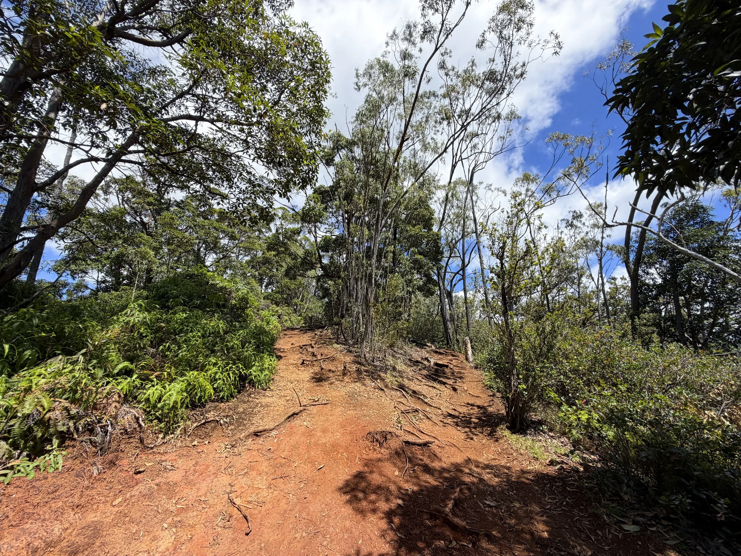 Waimano Falls Hike Oahu Hawaii