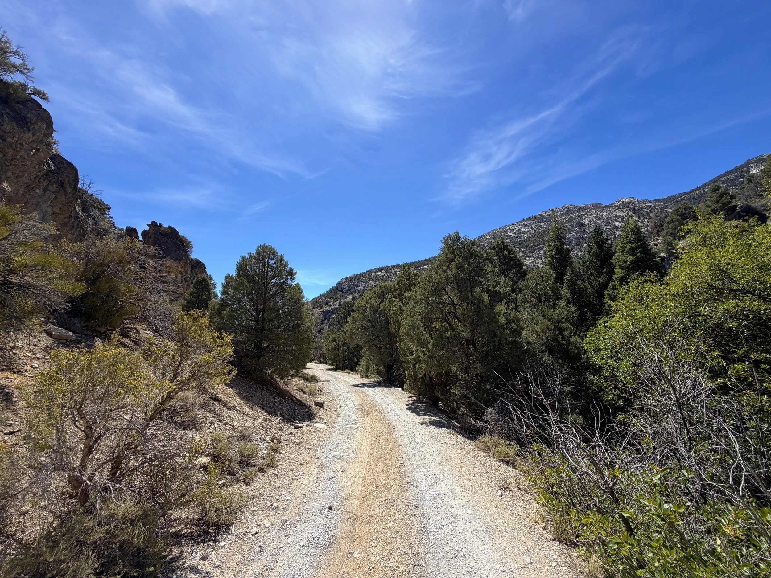 Pole Canyon Loop Trail Great Basin National Park Nevada