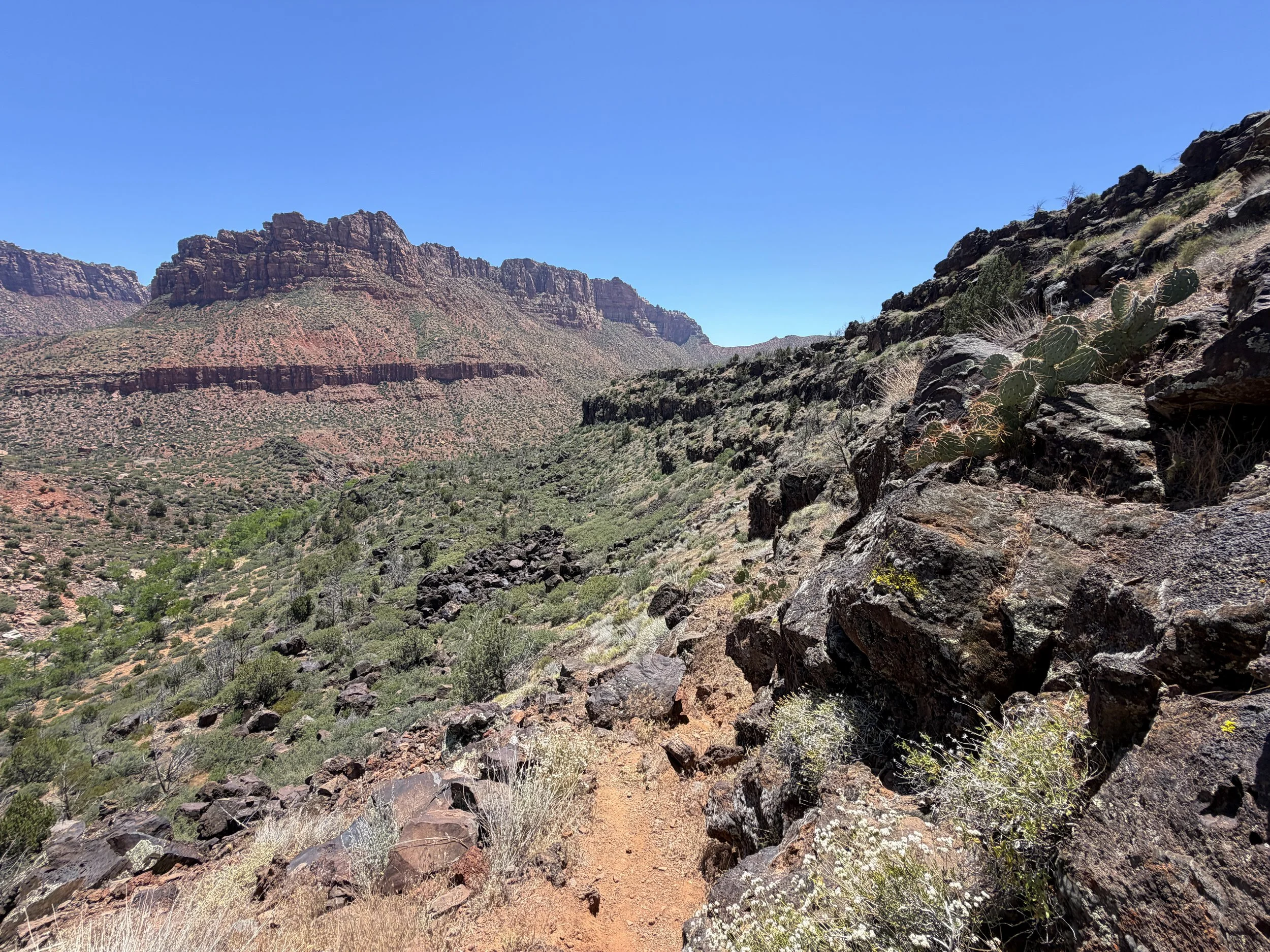 Grapevine Trail Zion National Park Utah