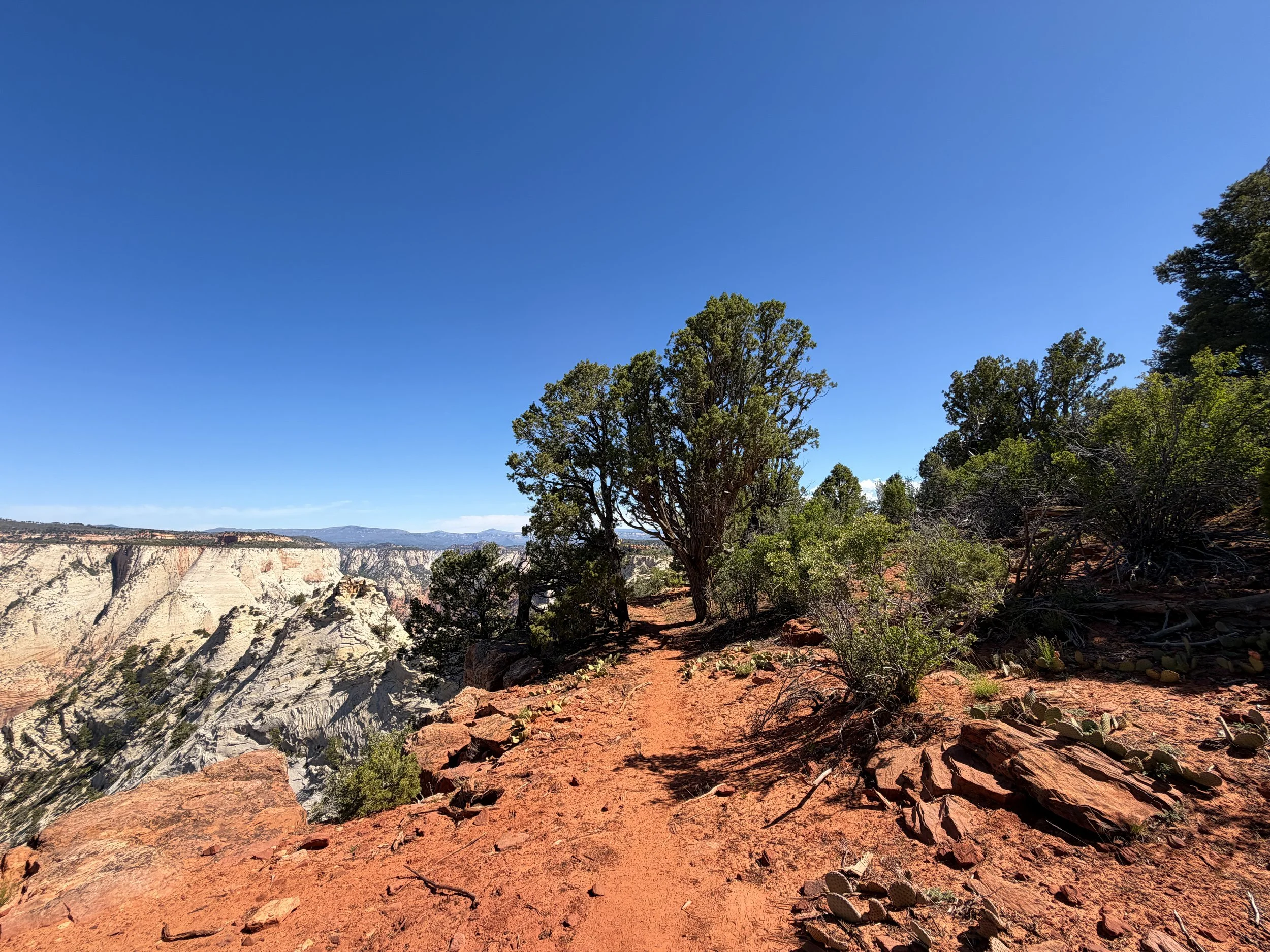 Deertrap Mountain Trail Zion National Park Utah