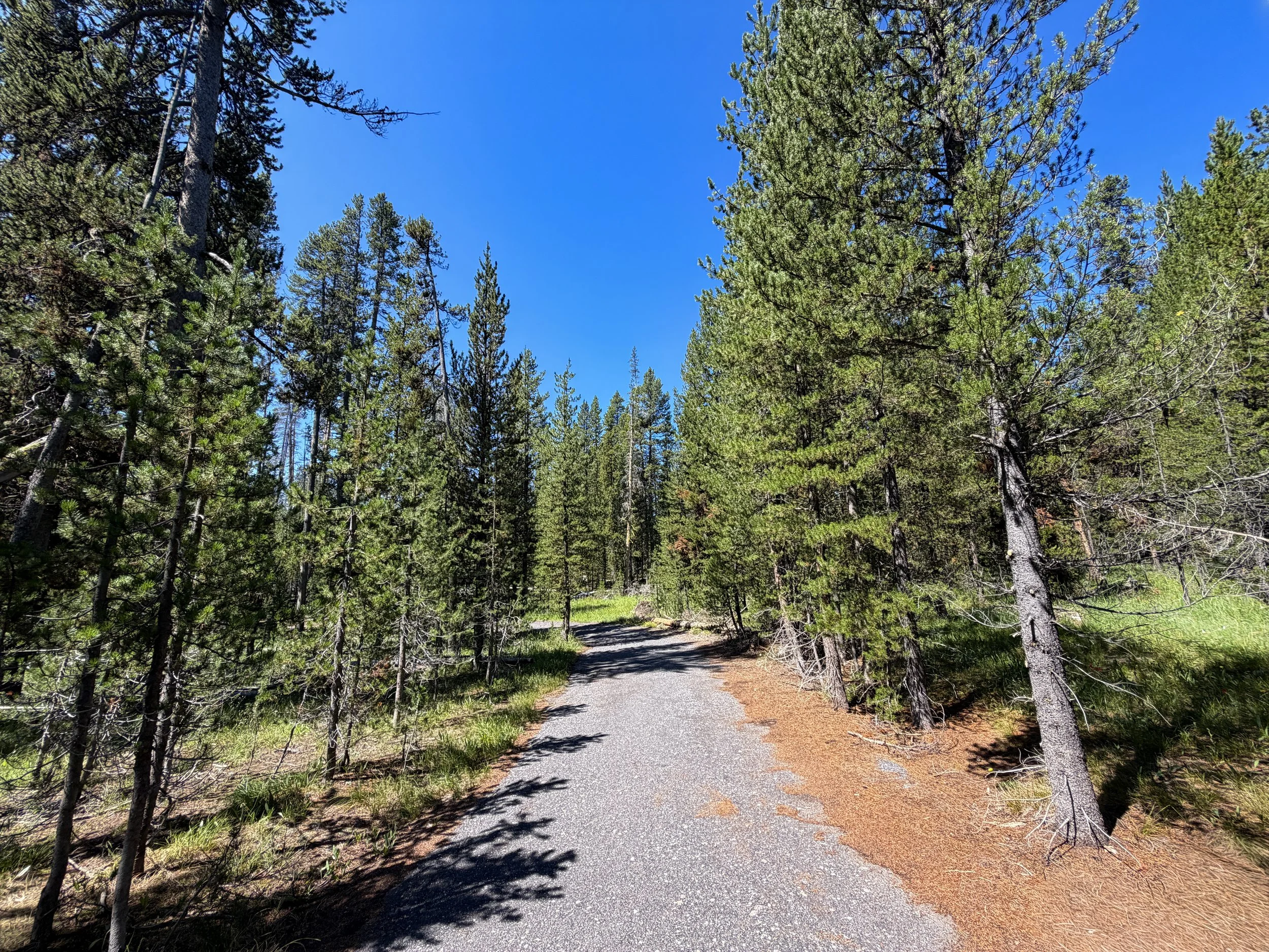 Lone Star Trail Yellowstone National Park Wyoming