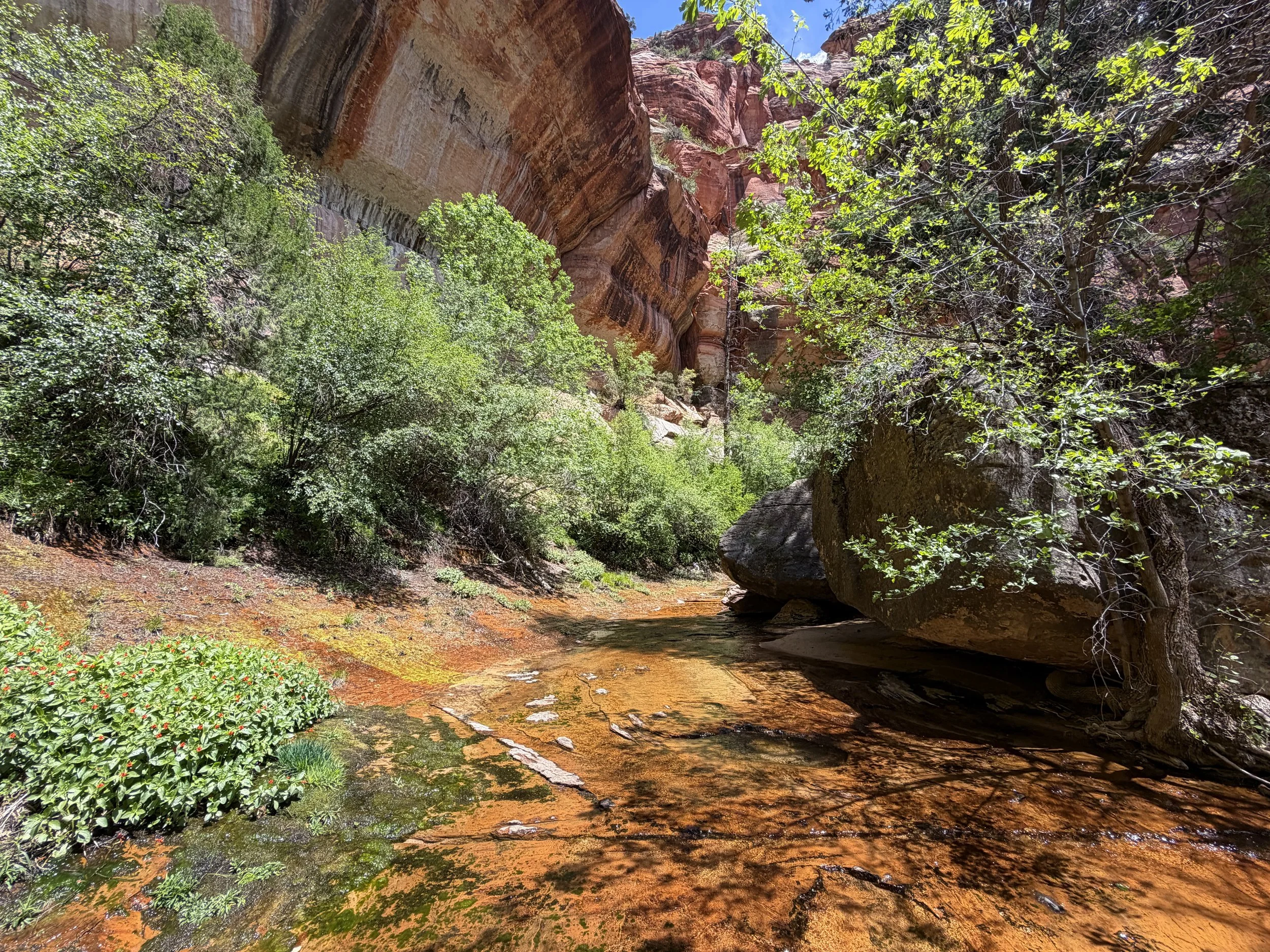 Subway Trail Zion National Park Utah