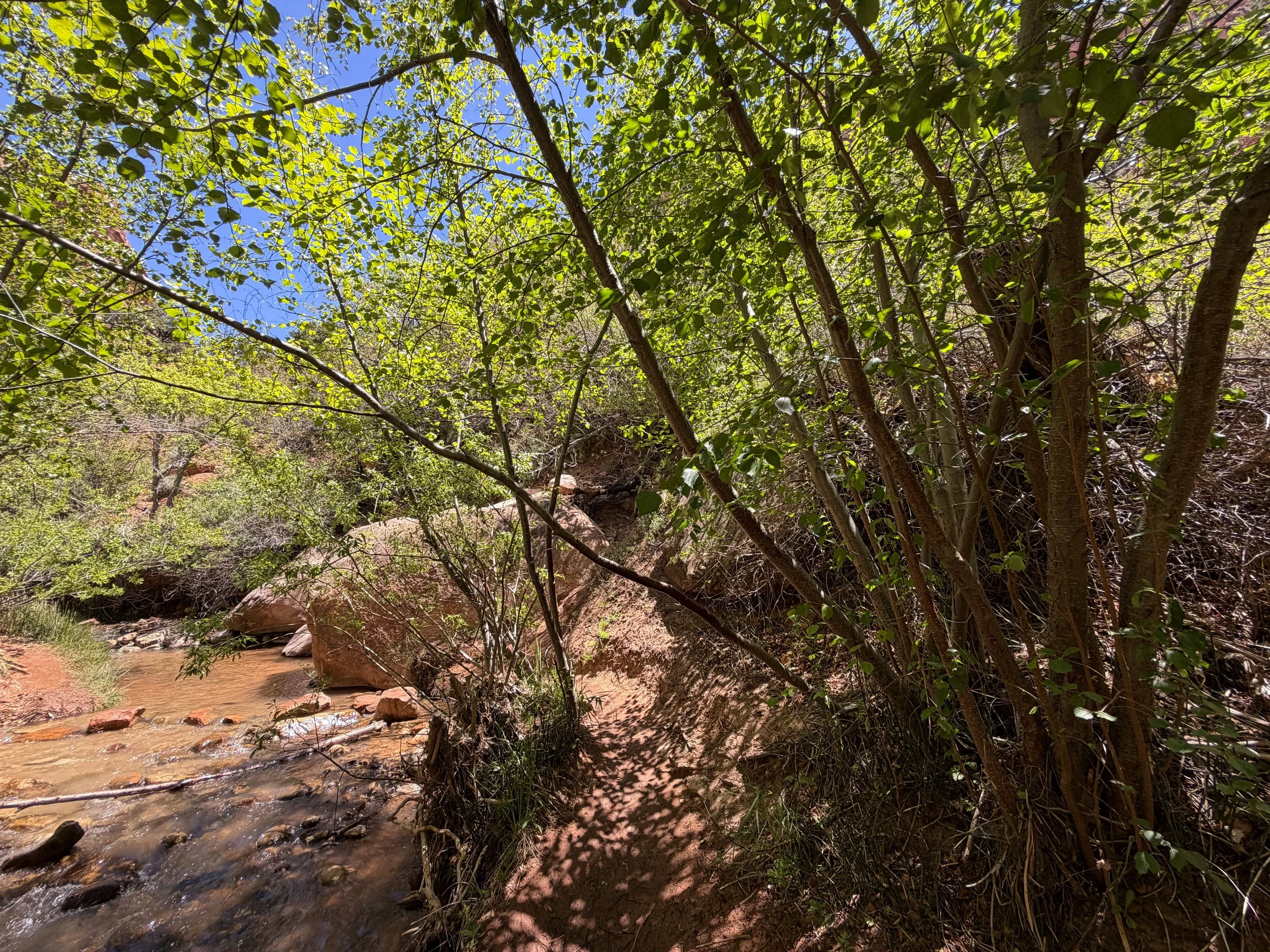 Kanarra Falls Trail Kanarraville Utah