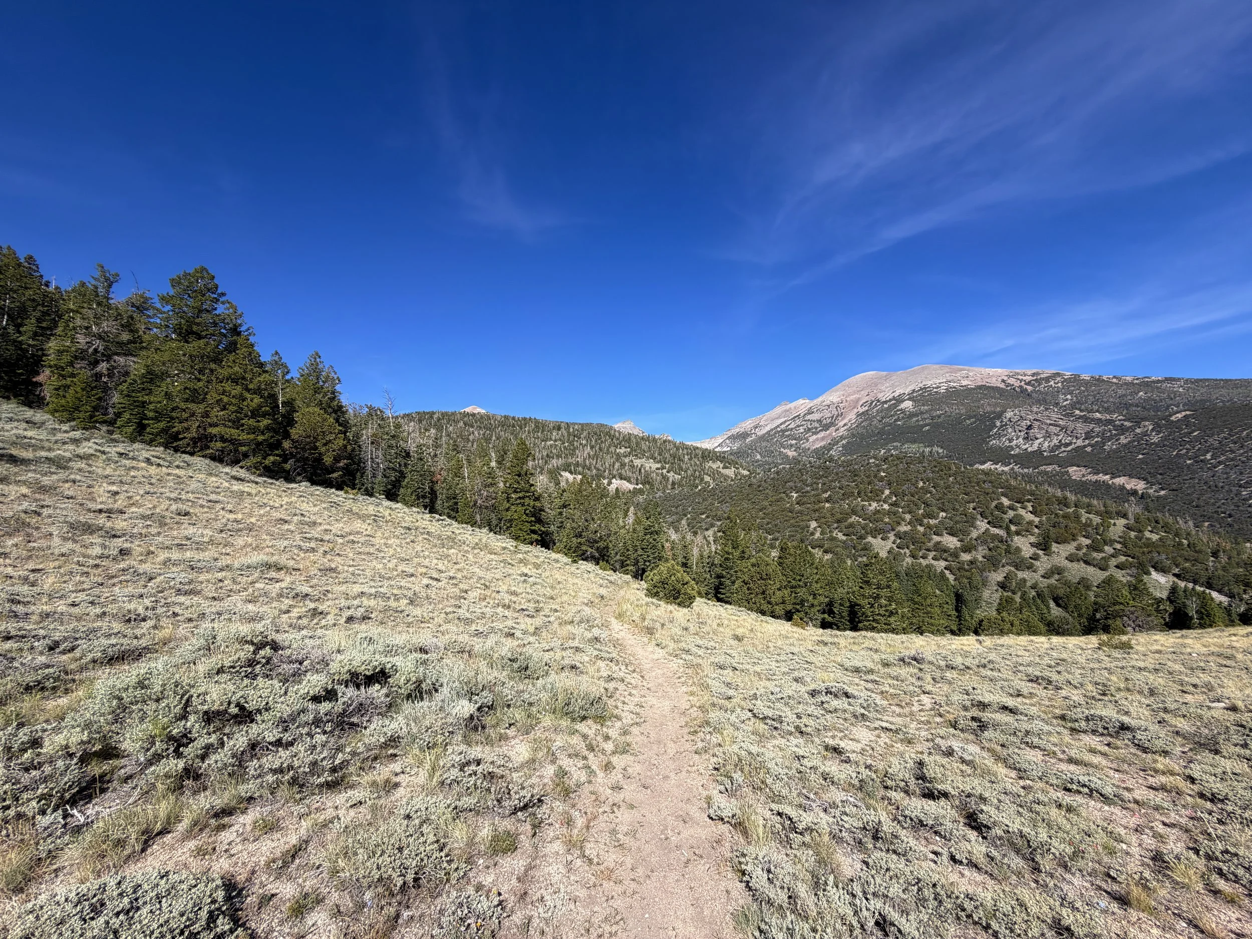 Pole Canyon Hike Great Basin National Park Nevada