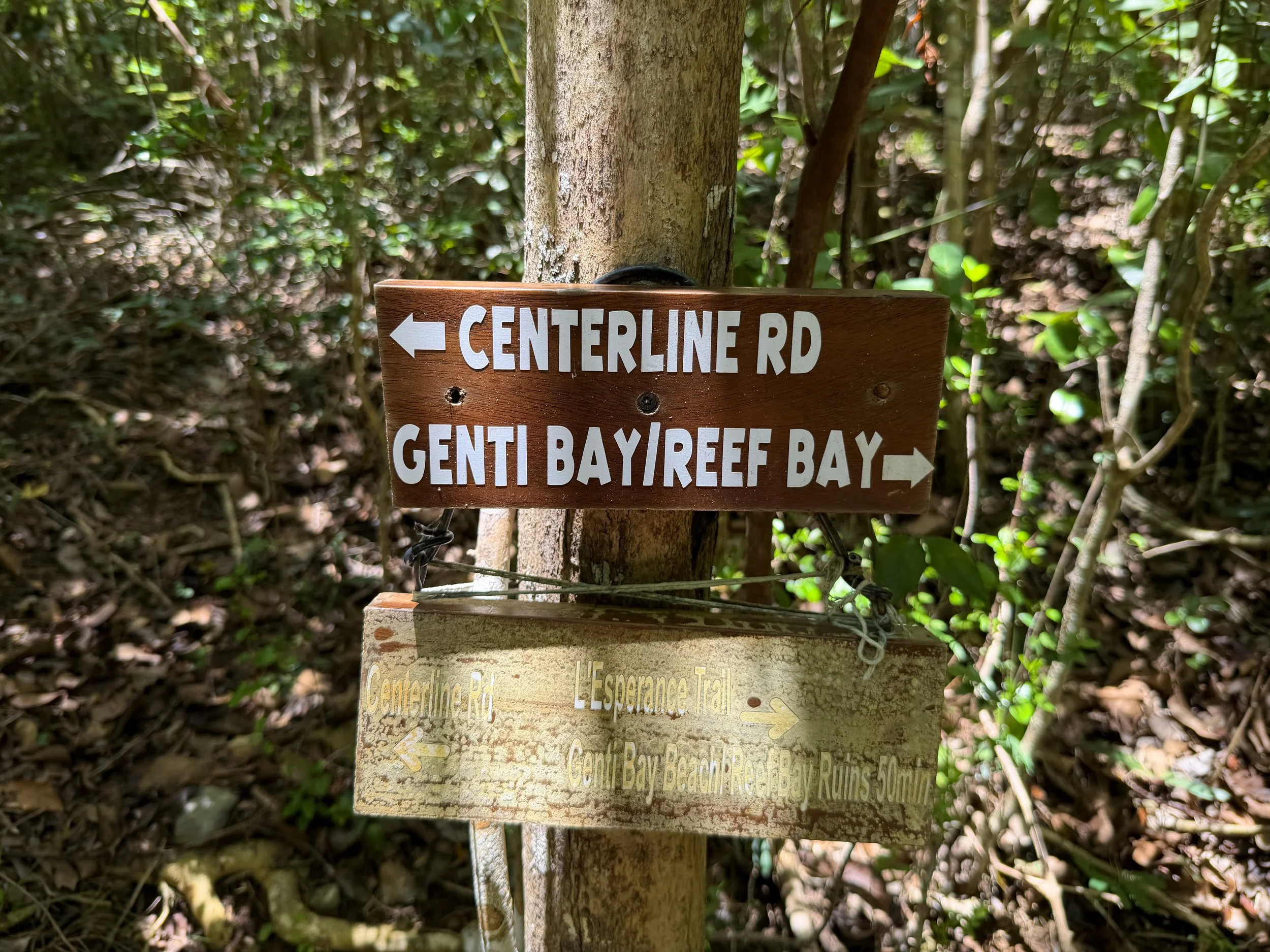 LEsperance Trail to Great Sieben Ruins Virgin Islands National Park