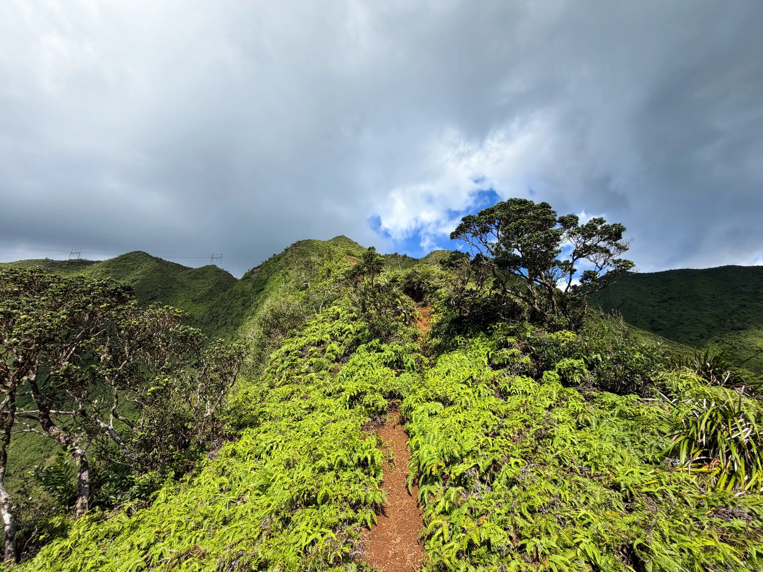 Kaau Crater Trail Oahu Hawaii