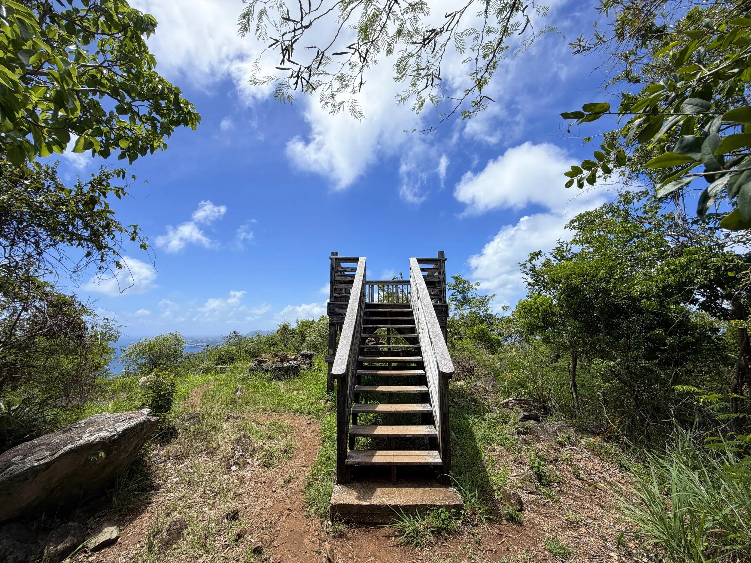 Top of Caneel Hill Virgin Islands National Park