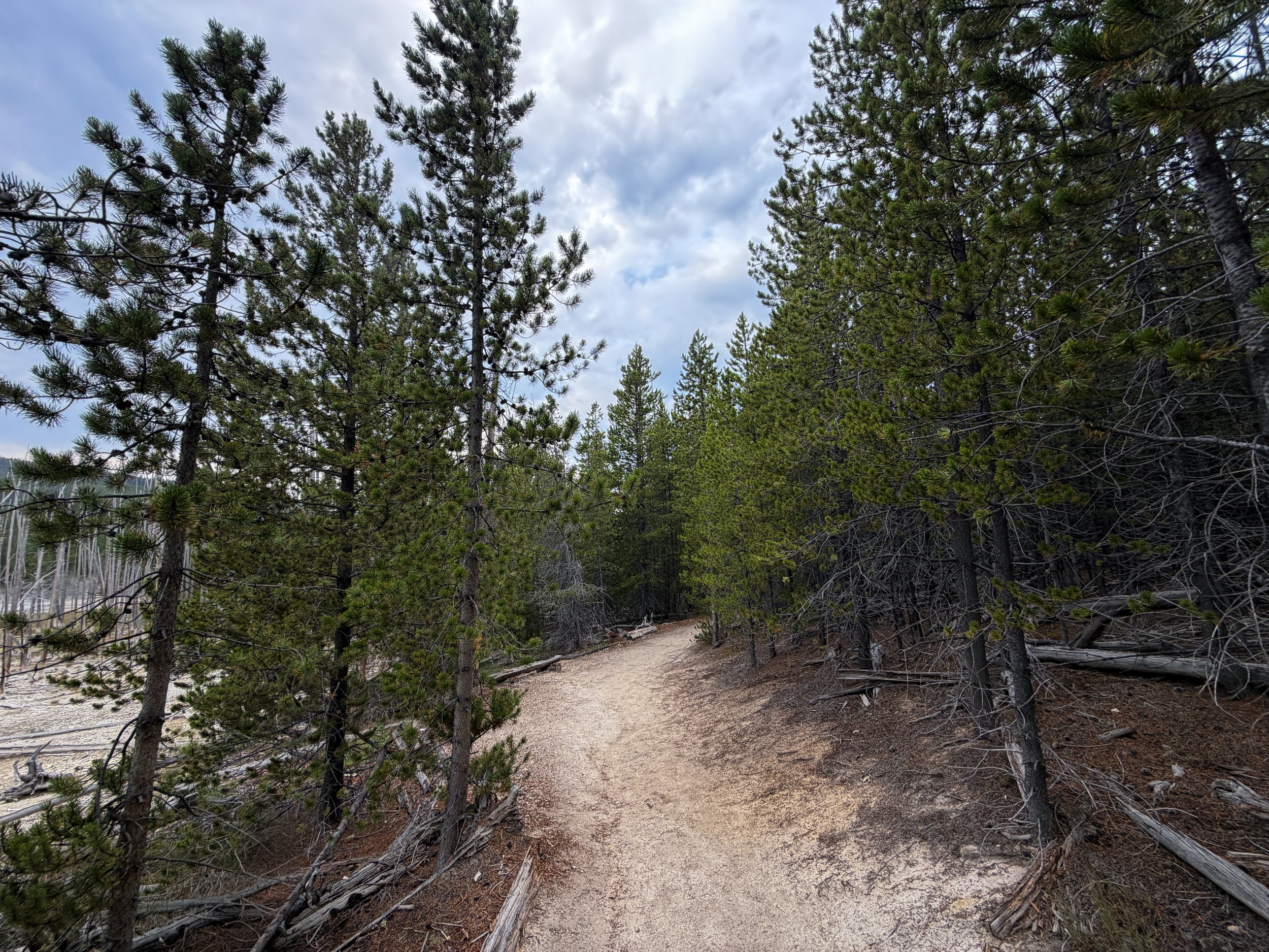 Back Basin Shortcut Trail Norris Geyser Basin Yellowstone National Park Wyoming