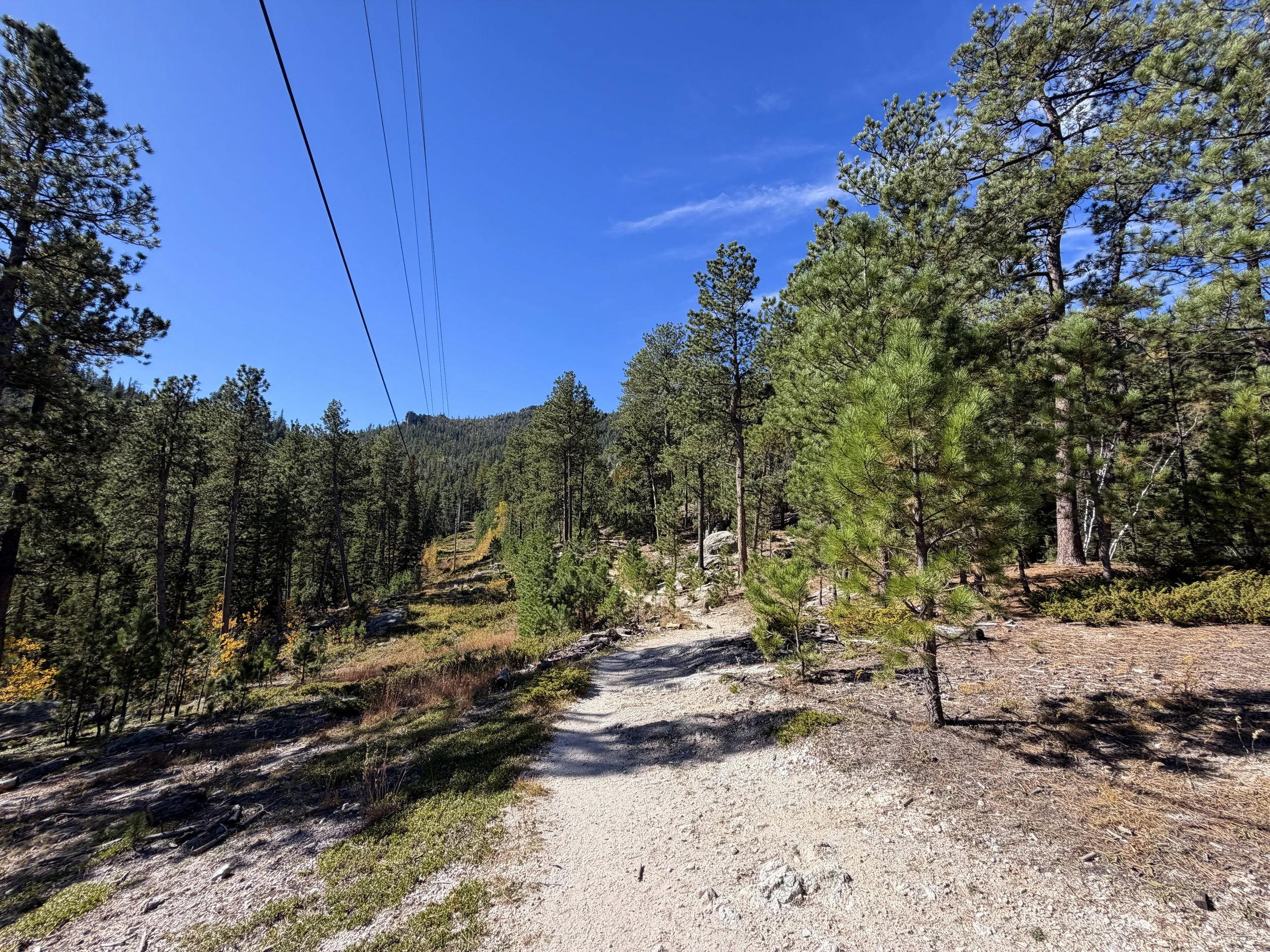 Sunday Gulch Loop Trail Custer State Park Black Hills South Dakota