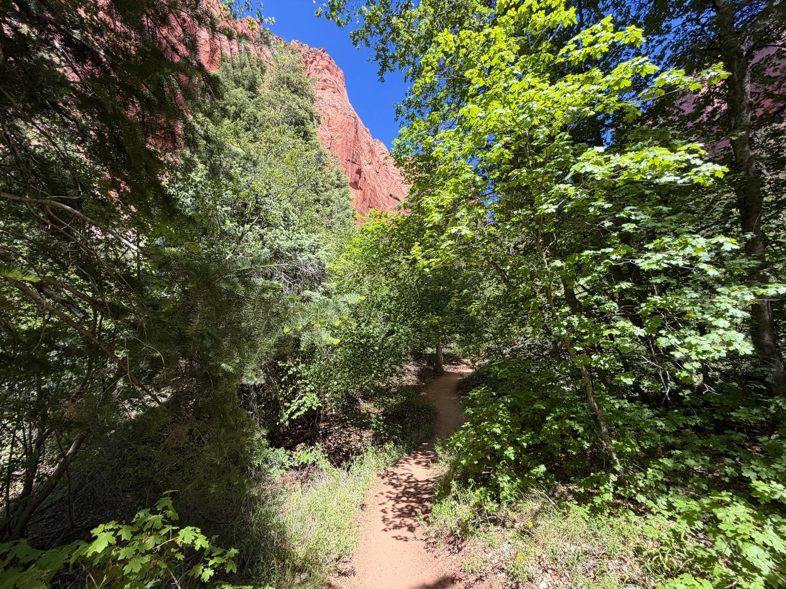 Taylor Creek Trail Zion National Park Utah
