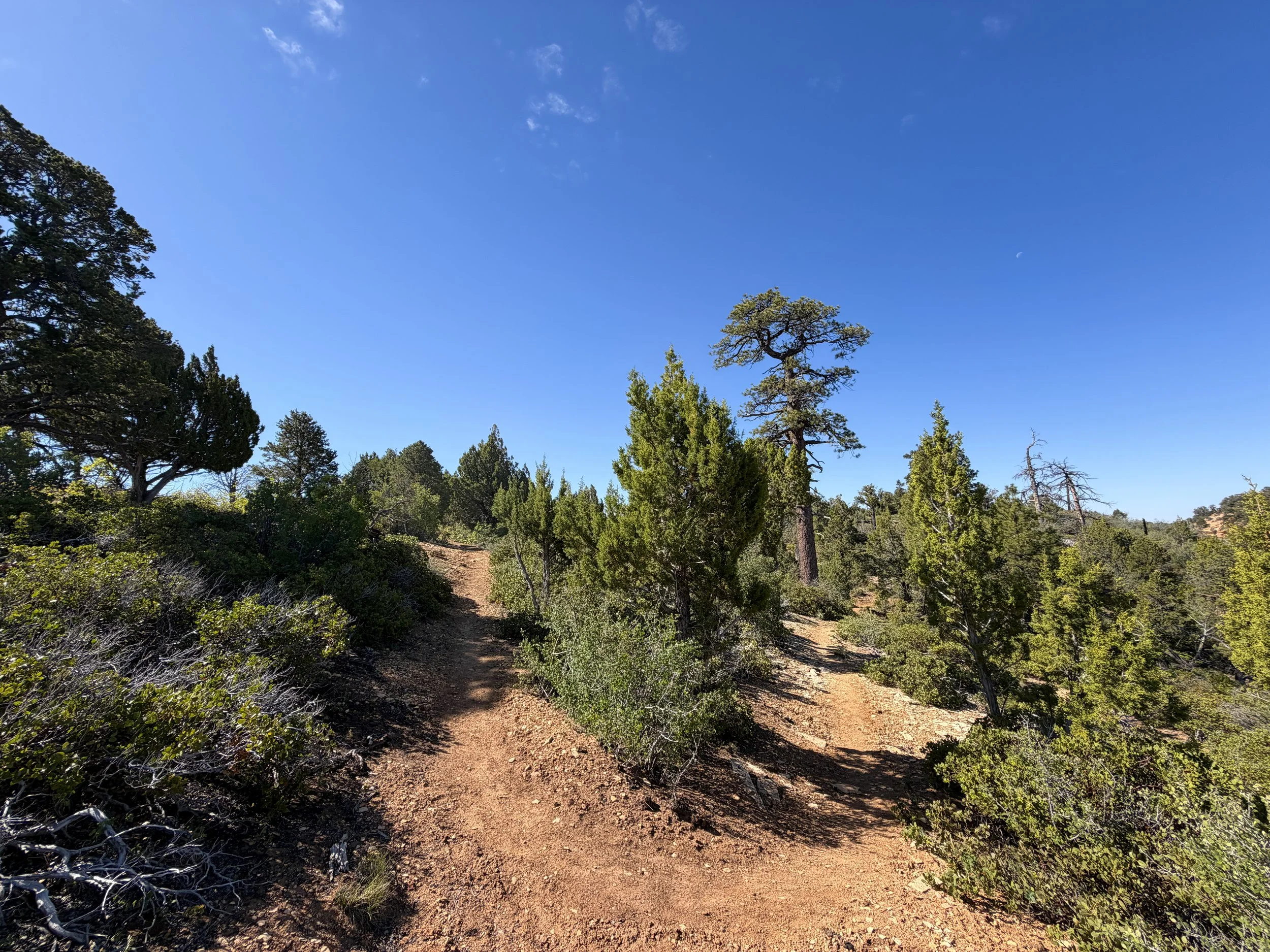 Deertrap Mountain Trail Zion National Park Utah