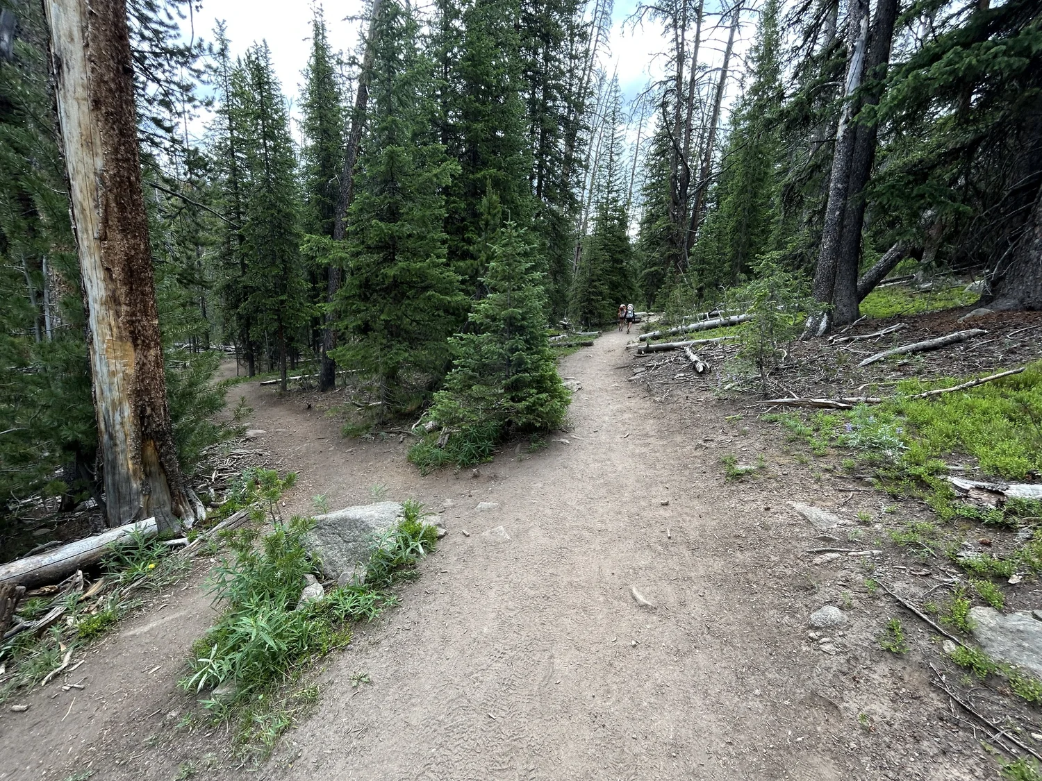 Hiking the Sacred Rim Trail in Pinedale, Wyoming — noahawaii