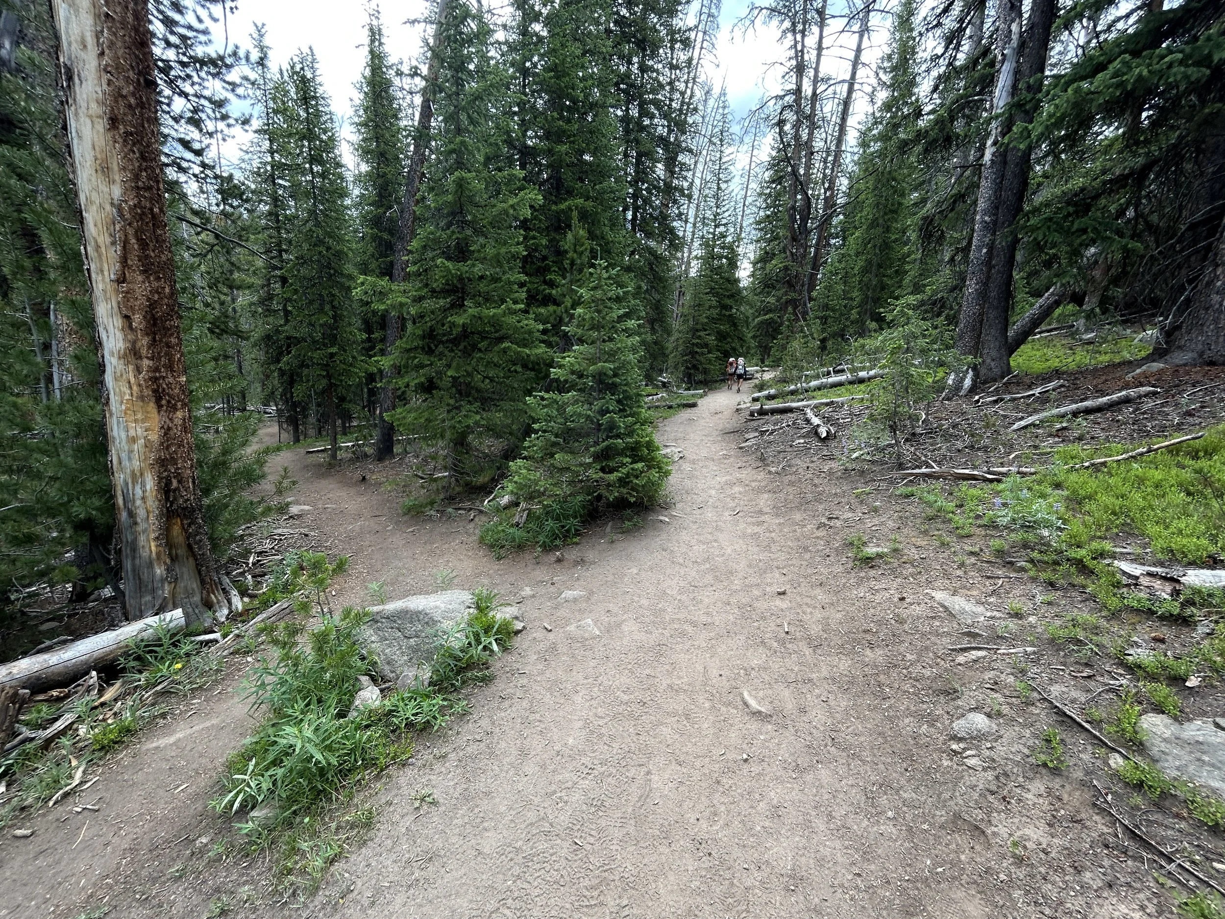Hiking the Sacred Rim Trail in Pinedale, Wyoming — noahawaii