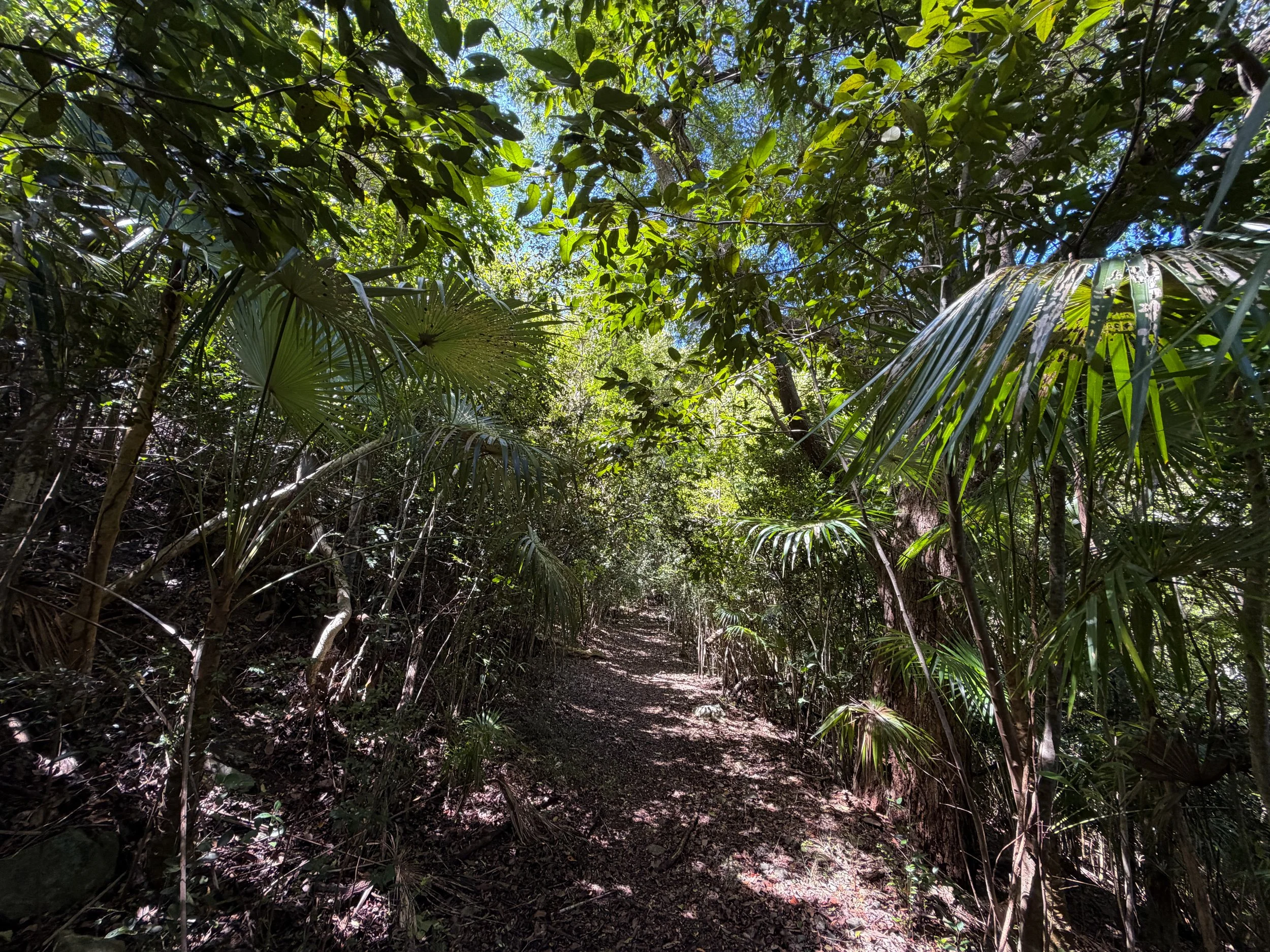 Water Catchment Hike Virgin Islands National Park