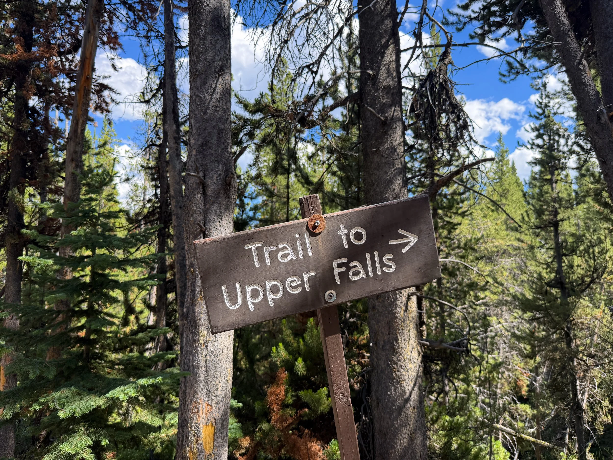 North Rim Trail Yellowstone National Park Wyoming