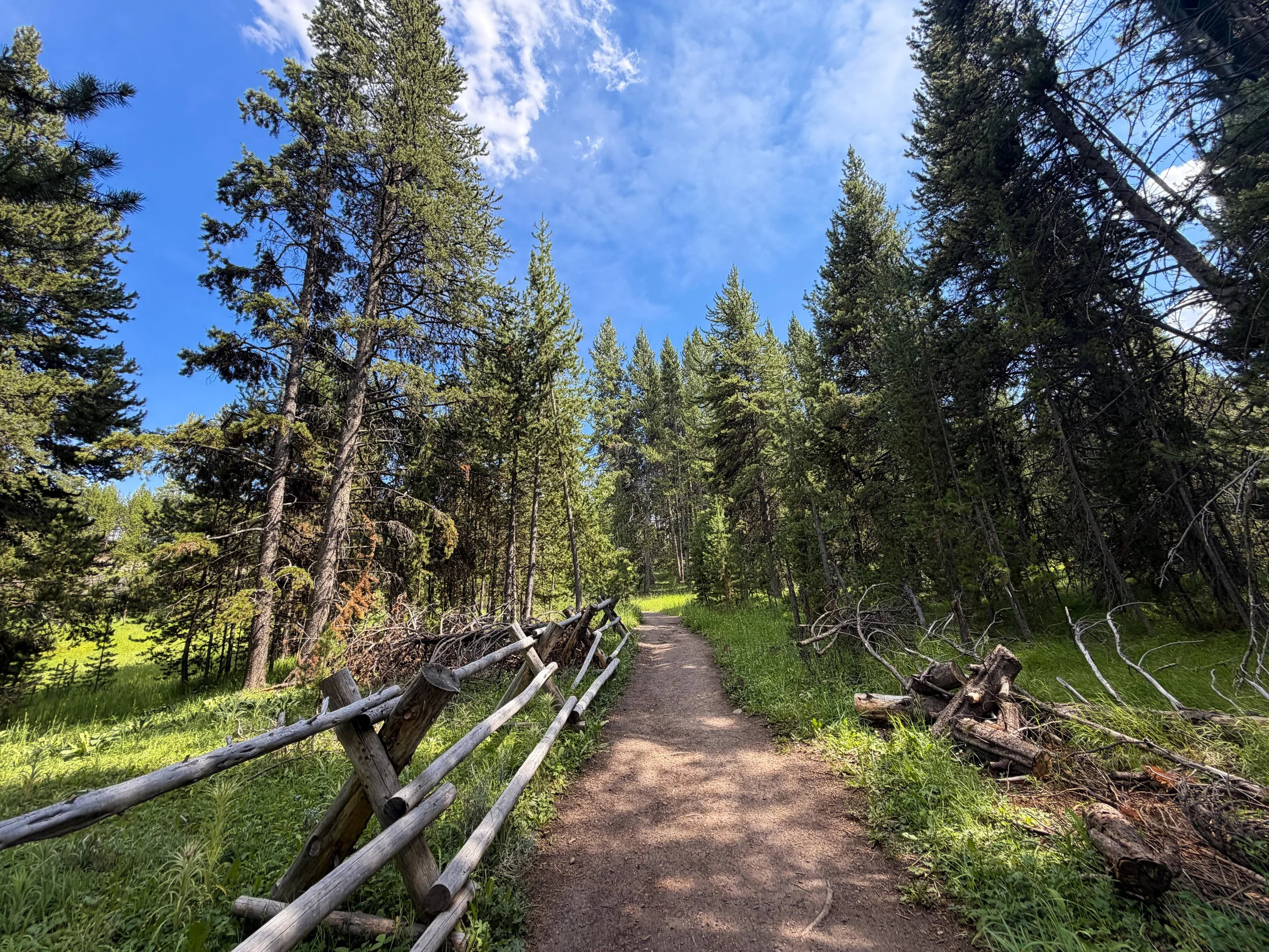 South Rim Trail Yellowstone National Park Wyoming