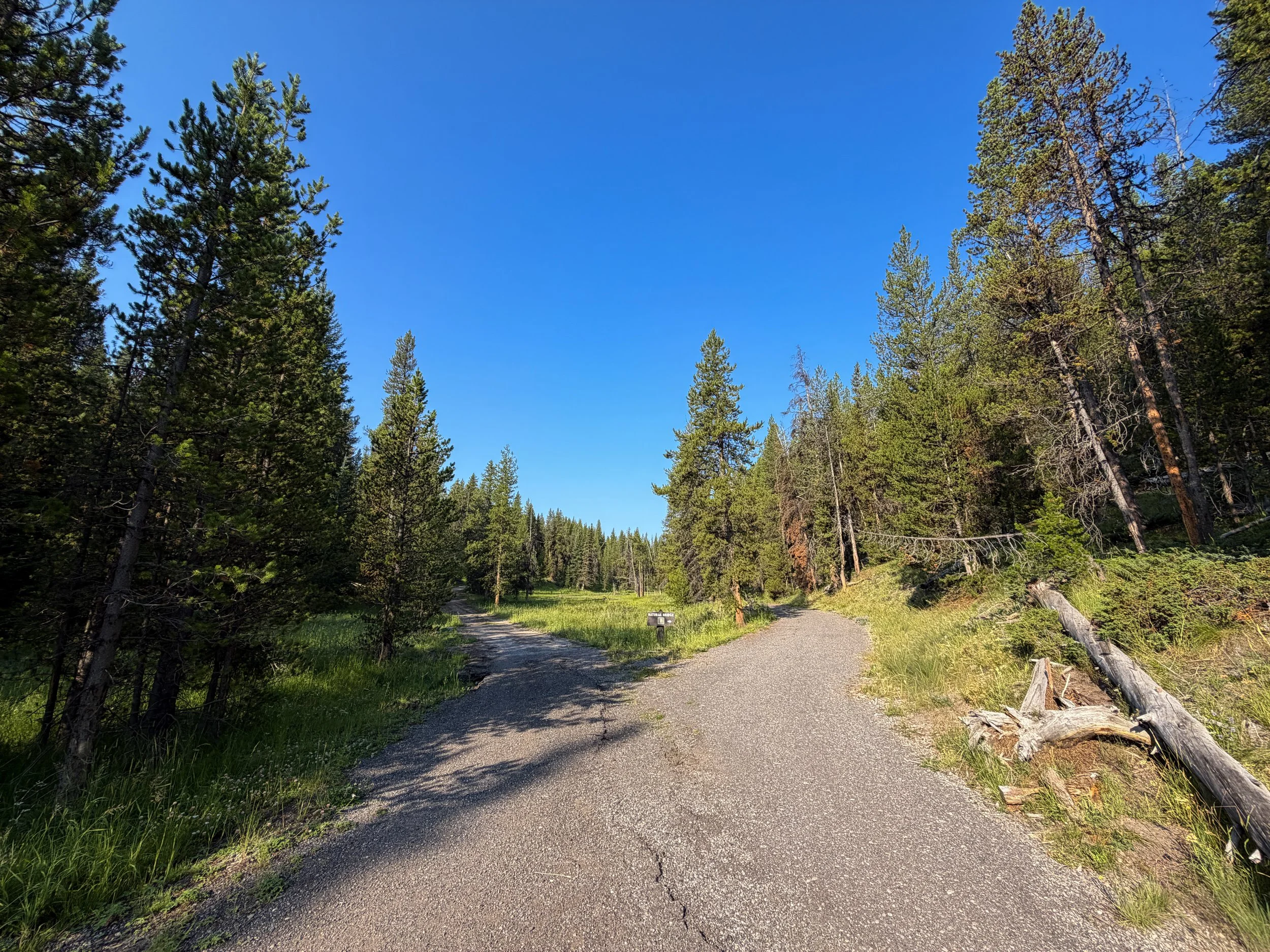 Natural Bridge Hike Yellowstone National Park Wyoming