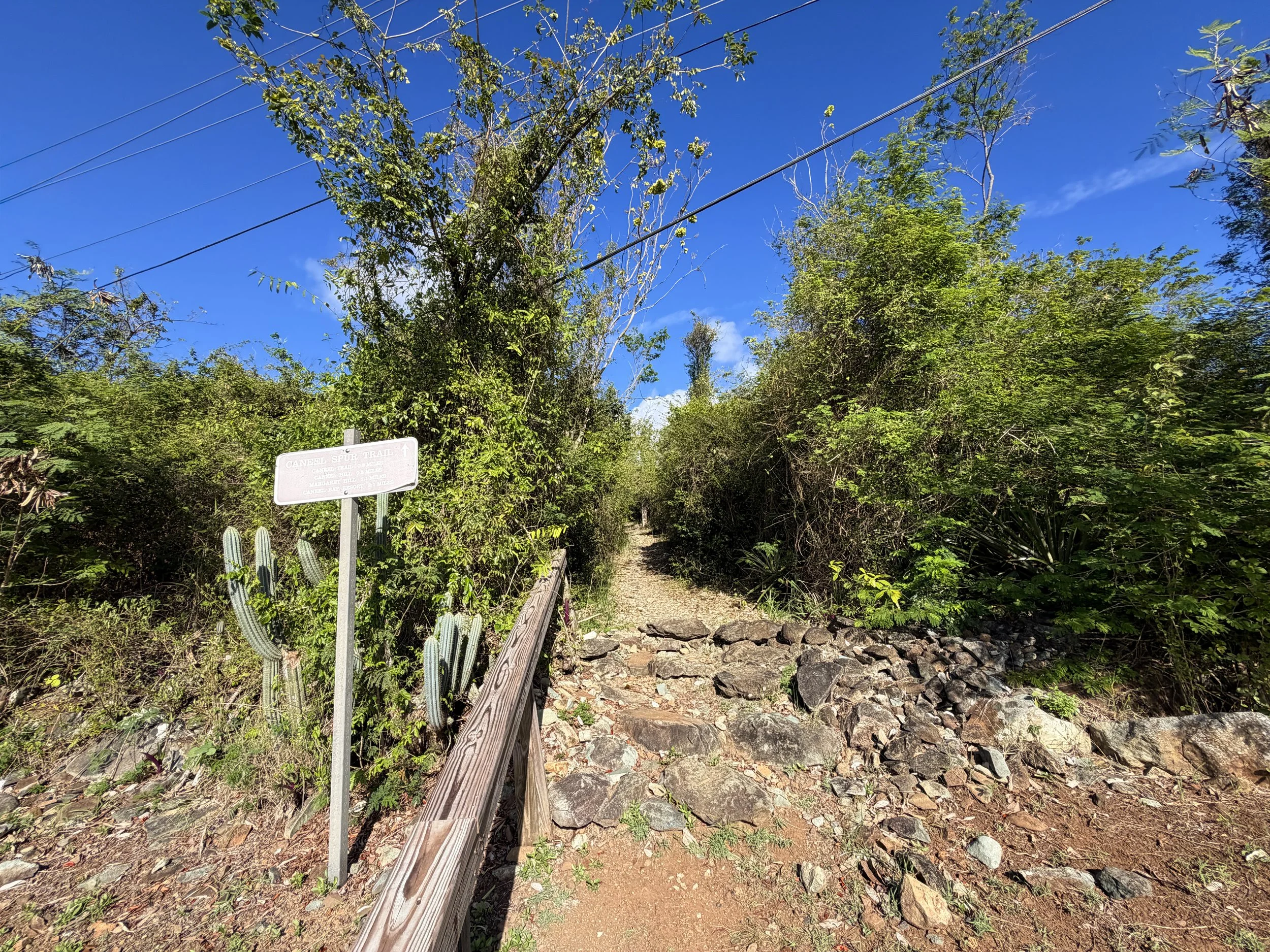 Caneel Hill Spur Trailhead Virgin Islands National Park