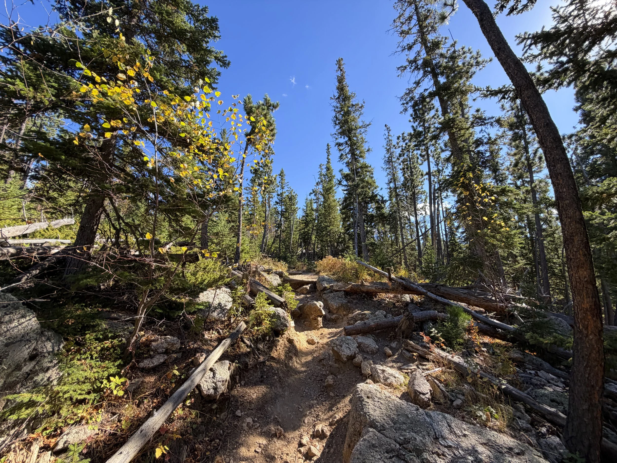 Black Elk Peak Trail via Custer State Park Black Hills South Dakota