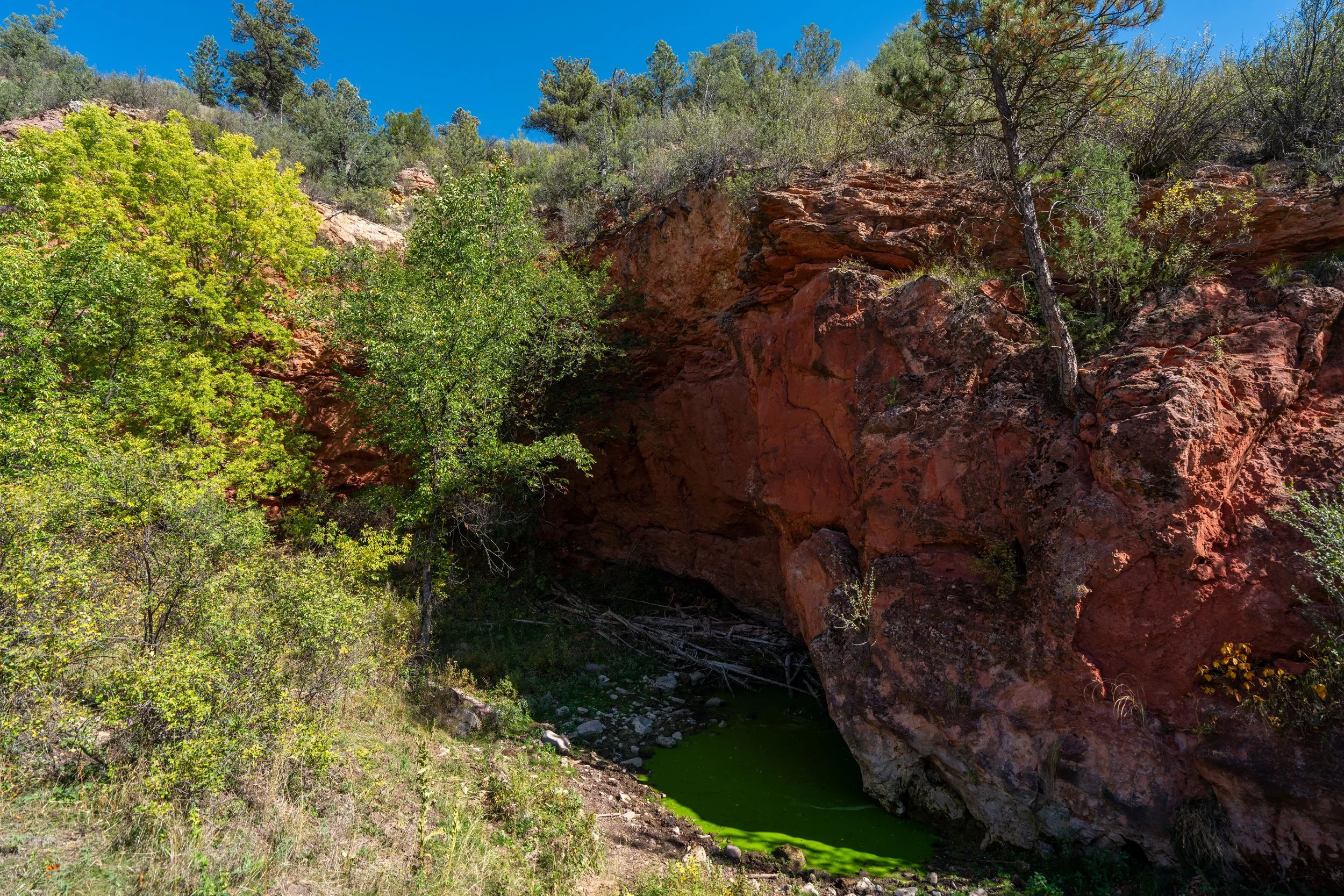 Wind Cave Canyon Trail Wind Cave National Park South Dakota