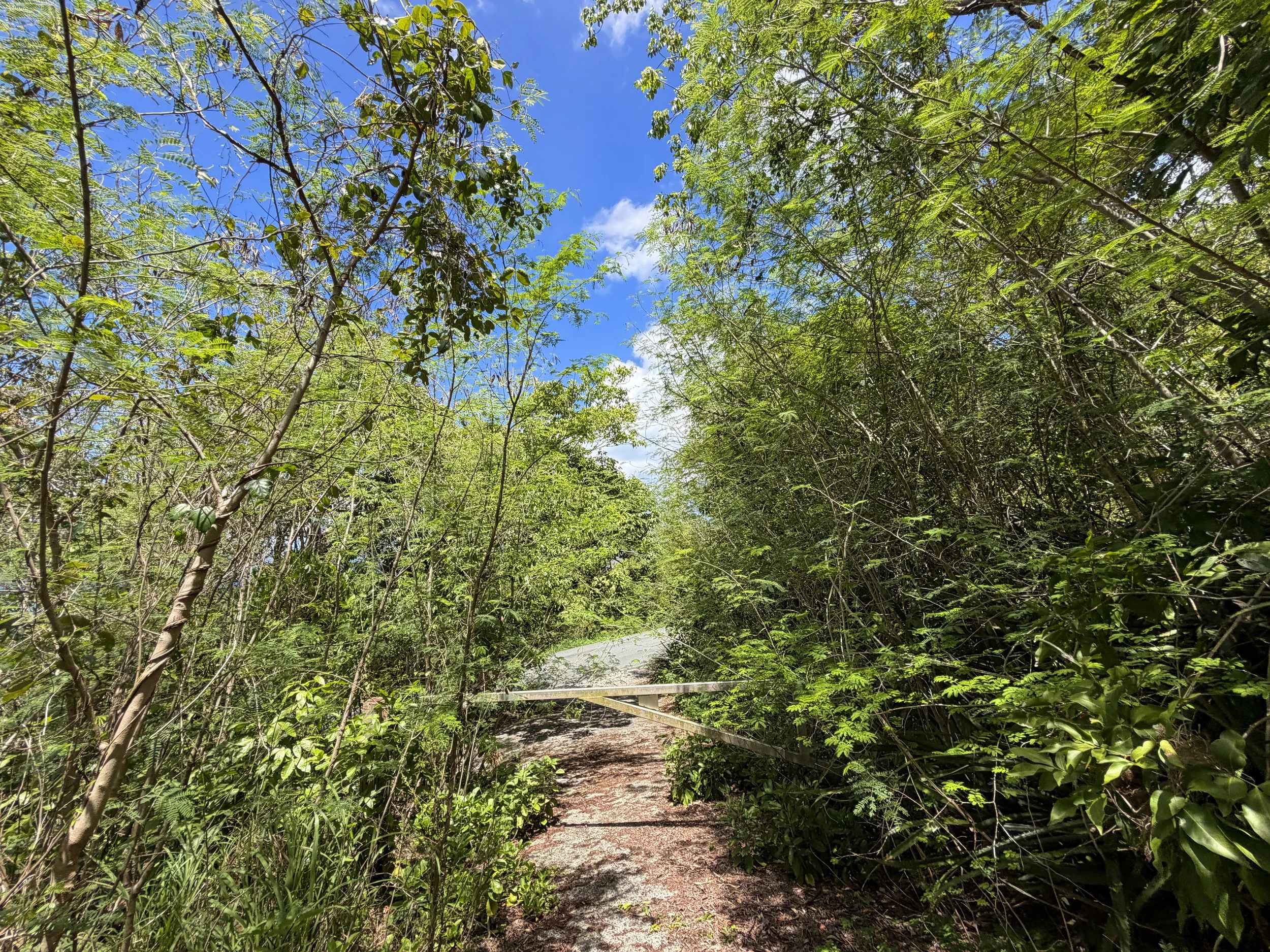 Water Catchment Trailhead Virgin Islands National Park