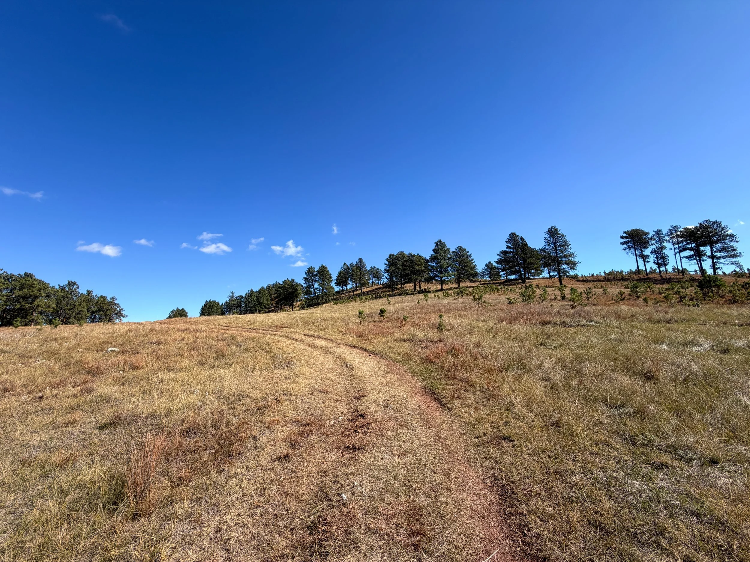 Lookout Point Trail Wind Cave National Park South Dakota