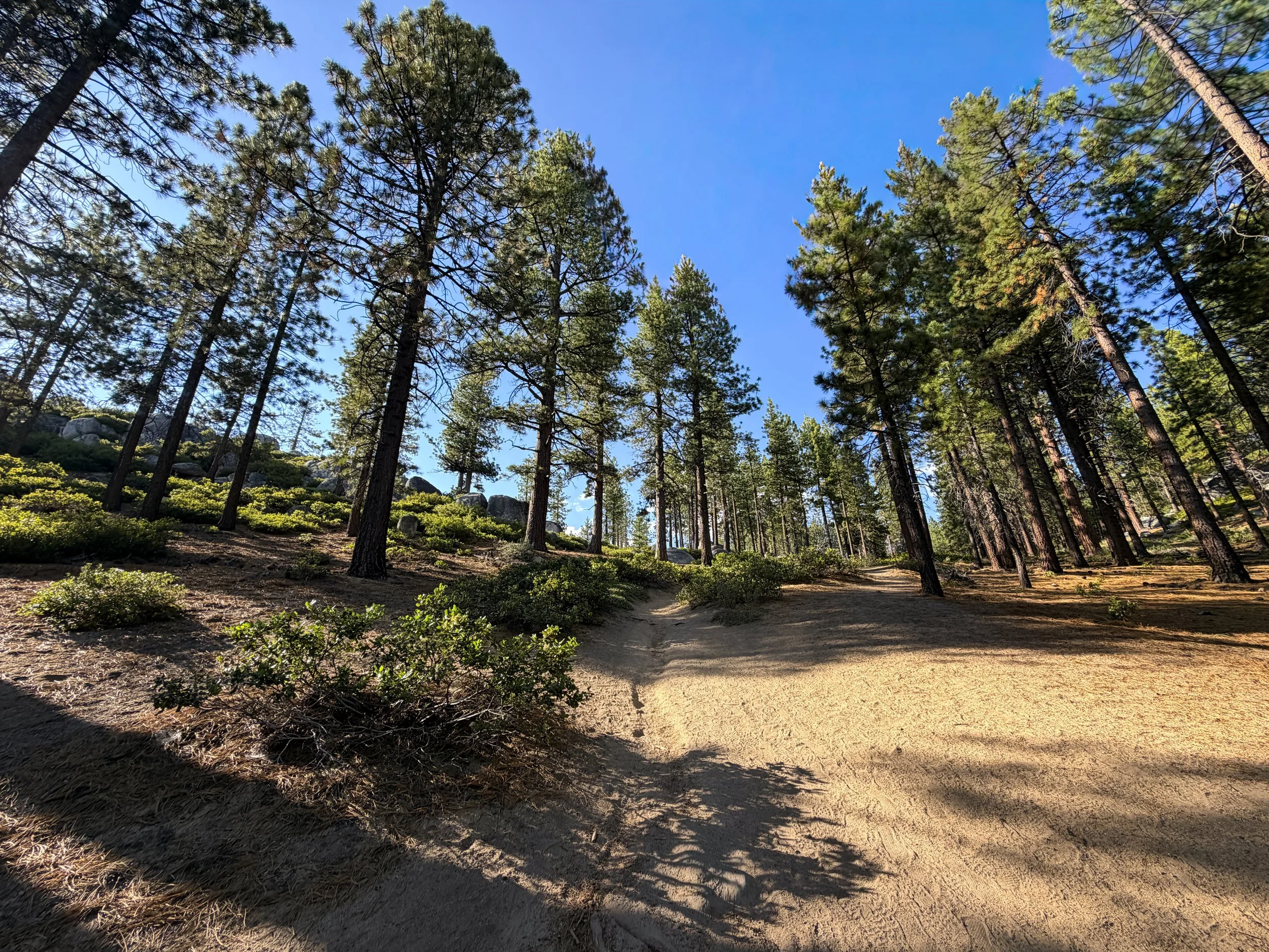 Monkey Rock Trail Lake Tahoe Nevada