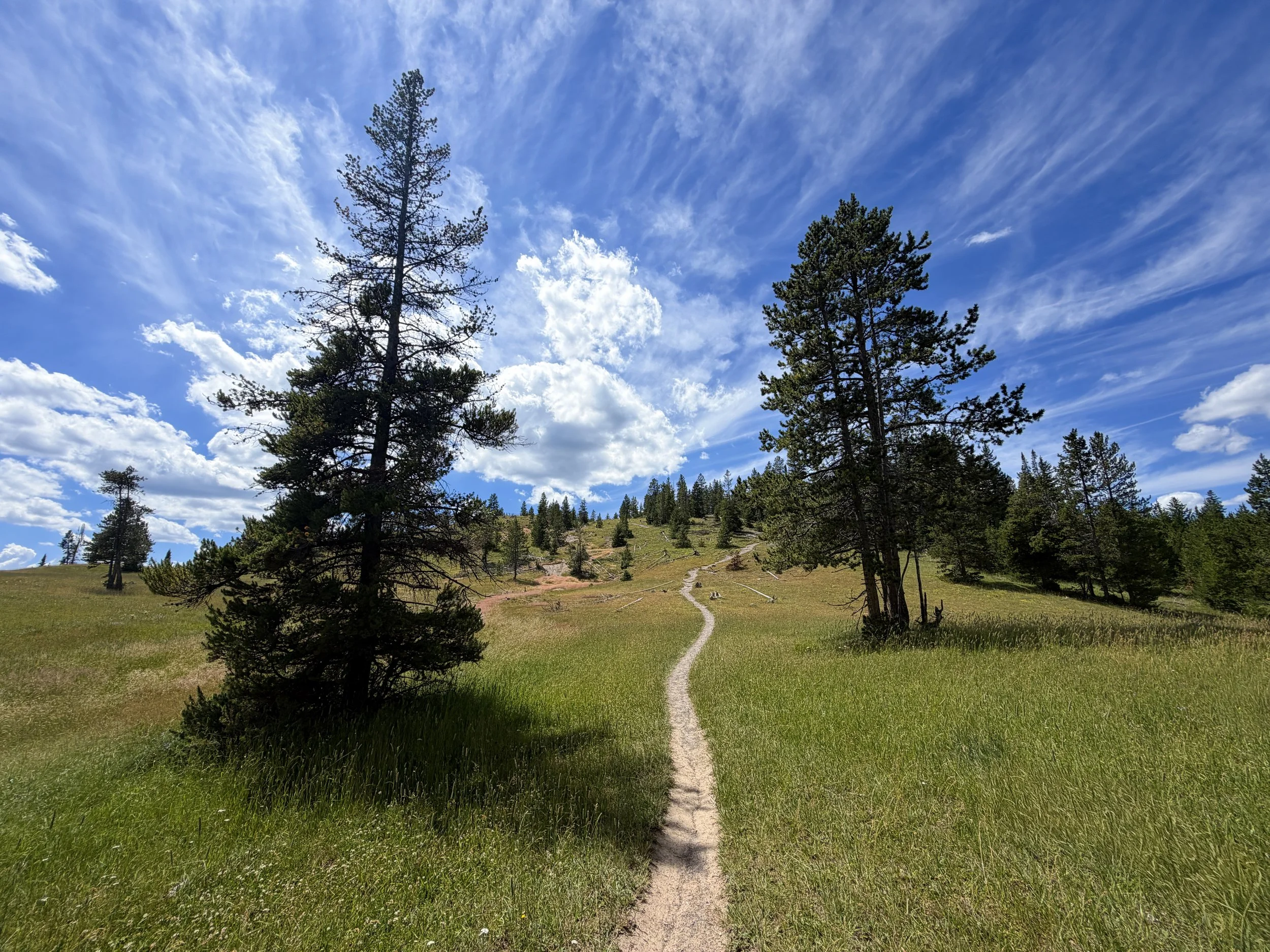 West Thumb Overlook Trail Yellowstone National Park Wyoming